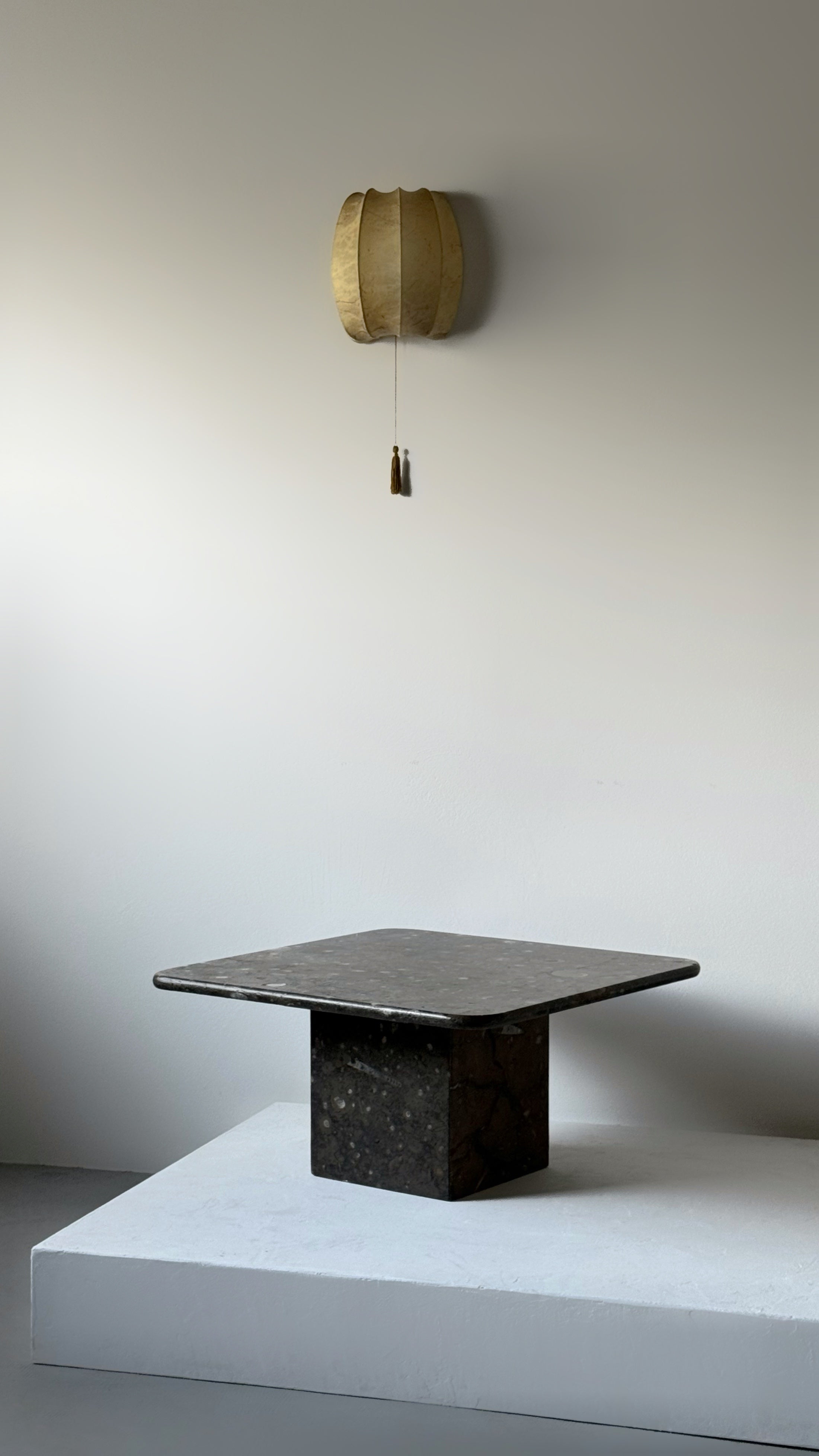 Fossil Stone Coffee Table