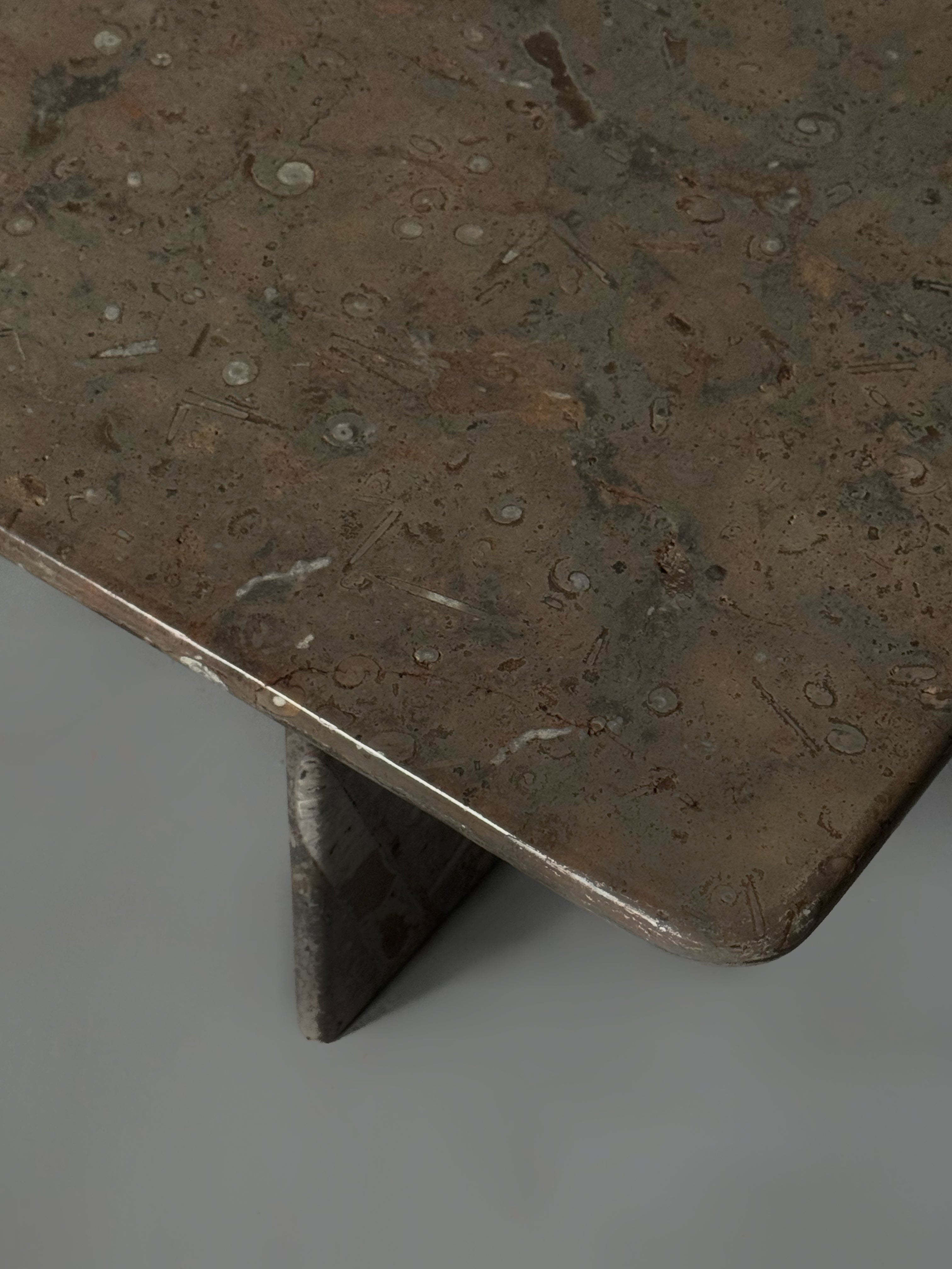 Fossil Stone Coffee Tables 1970s