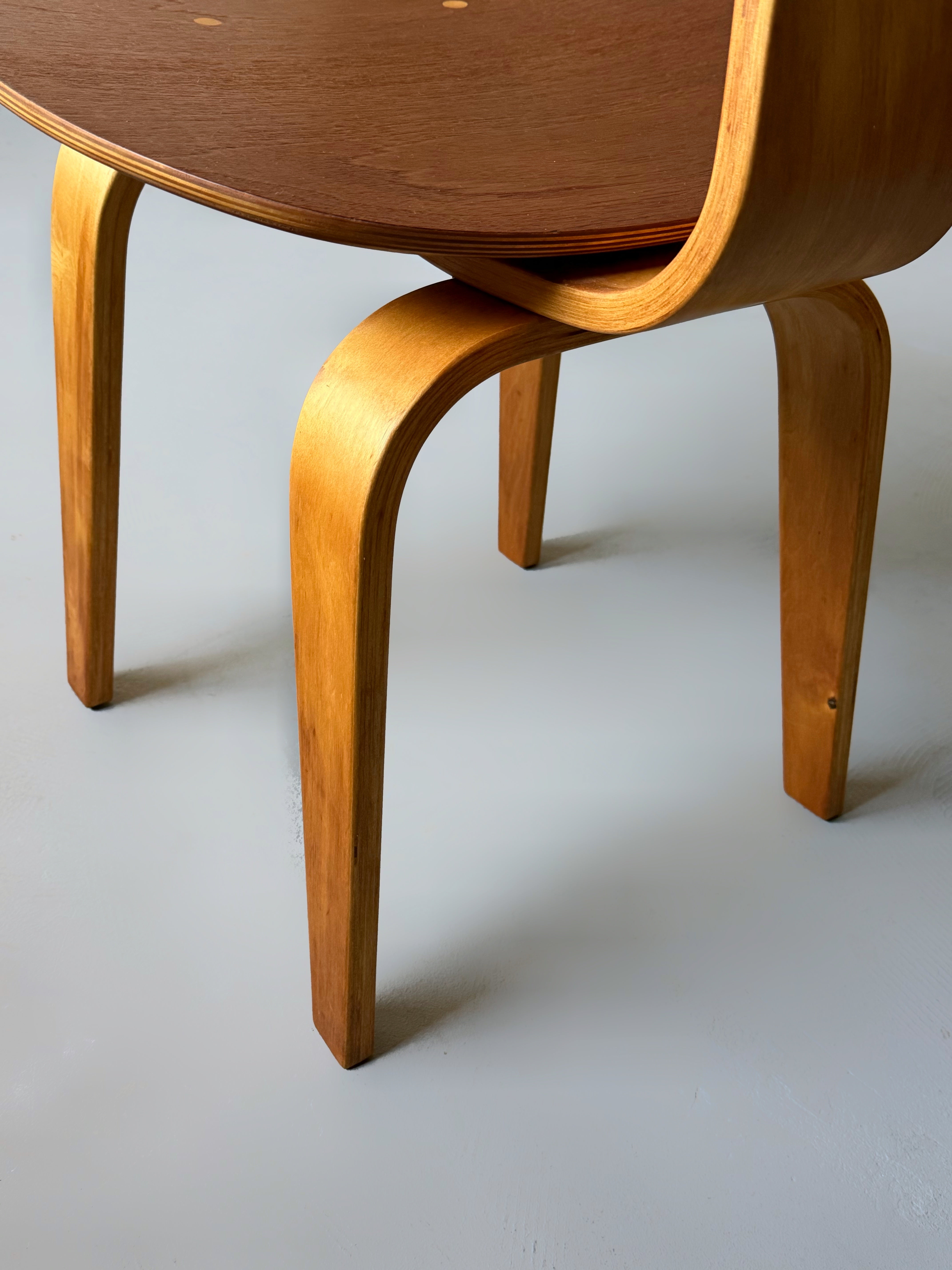 SB02 Dining Chairs by Cees Braakman for Pastoe, Netherlands 1950s