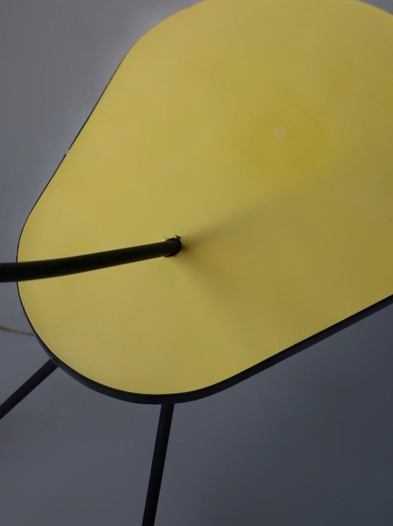 Lamp by Louis Kalff  1950s