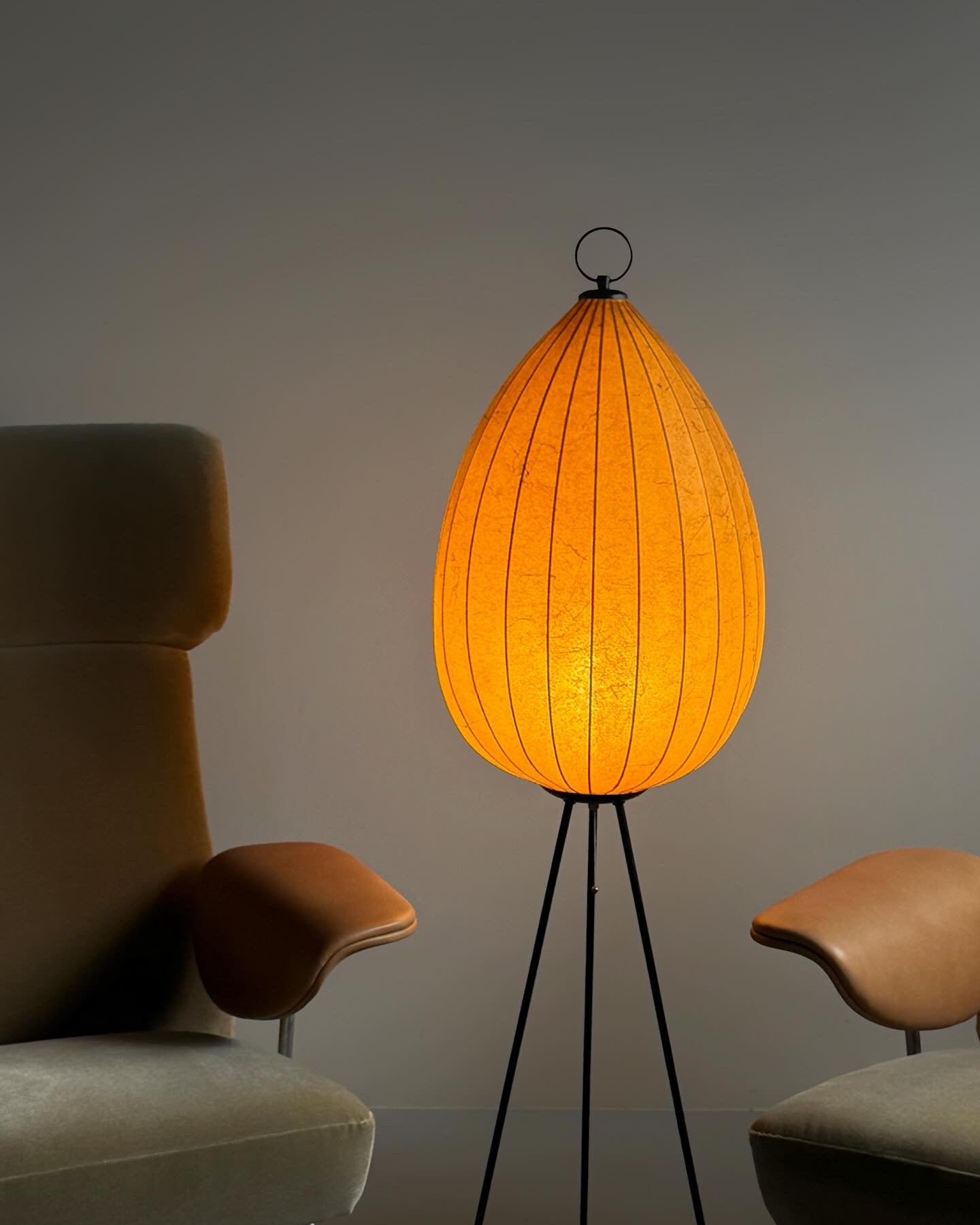 Cocoon Floor Lamp, Germany 1960s