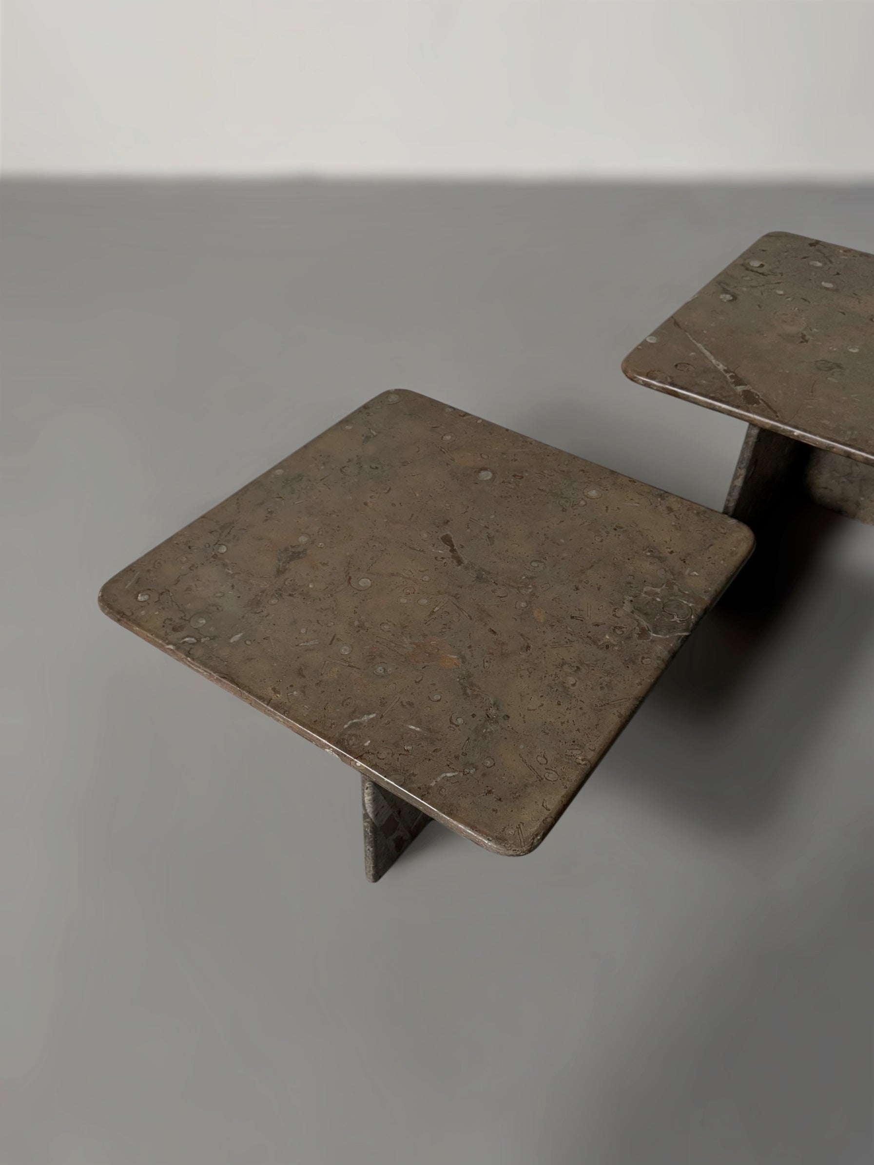 Fossil Stone Coffee Tables 1970s