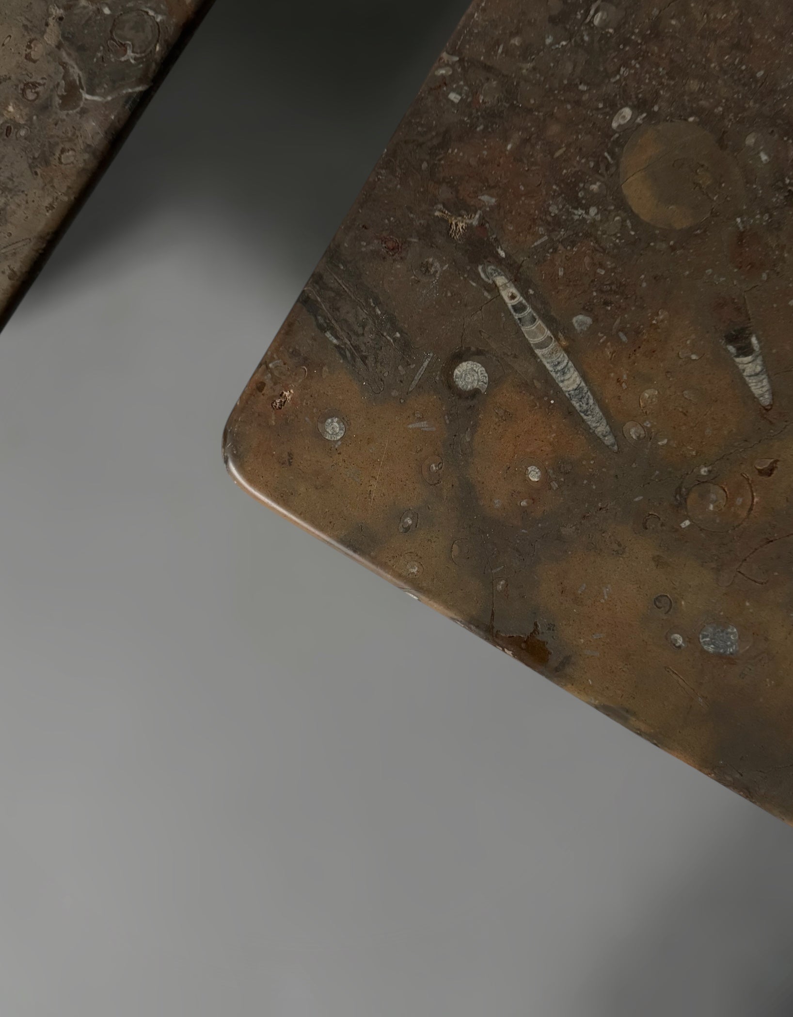 Fossil Stone Coffee Tables 1970s