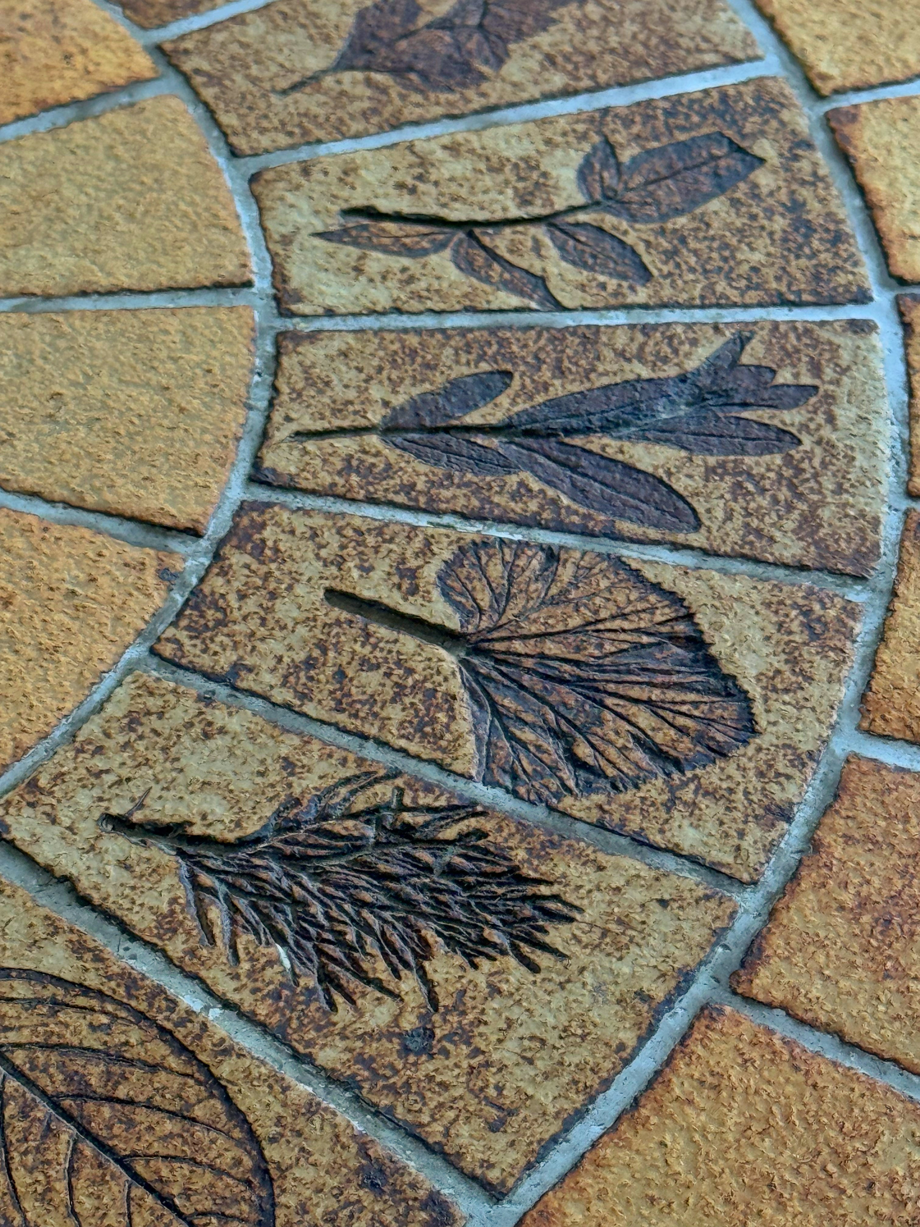 Low round coffee table by Roger Capron