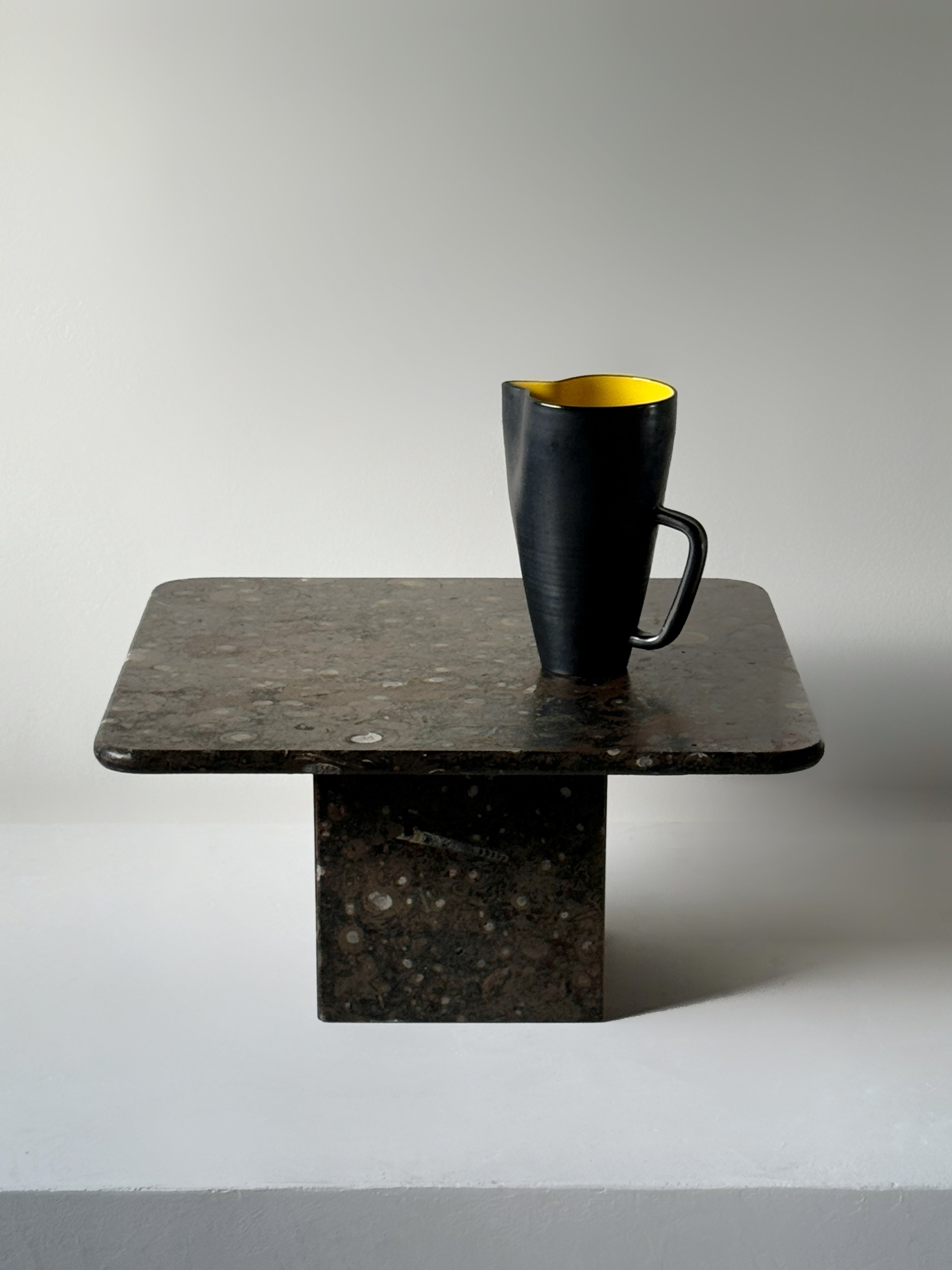 Fossil Stone Coffee Table