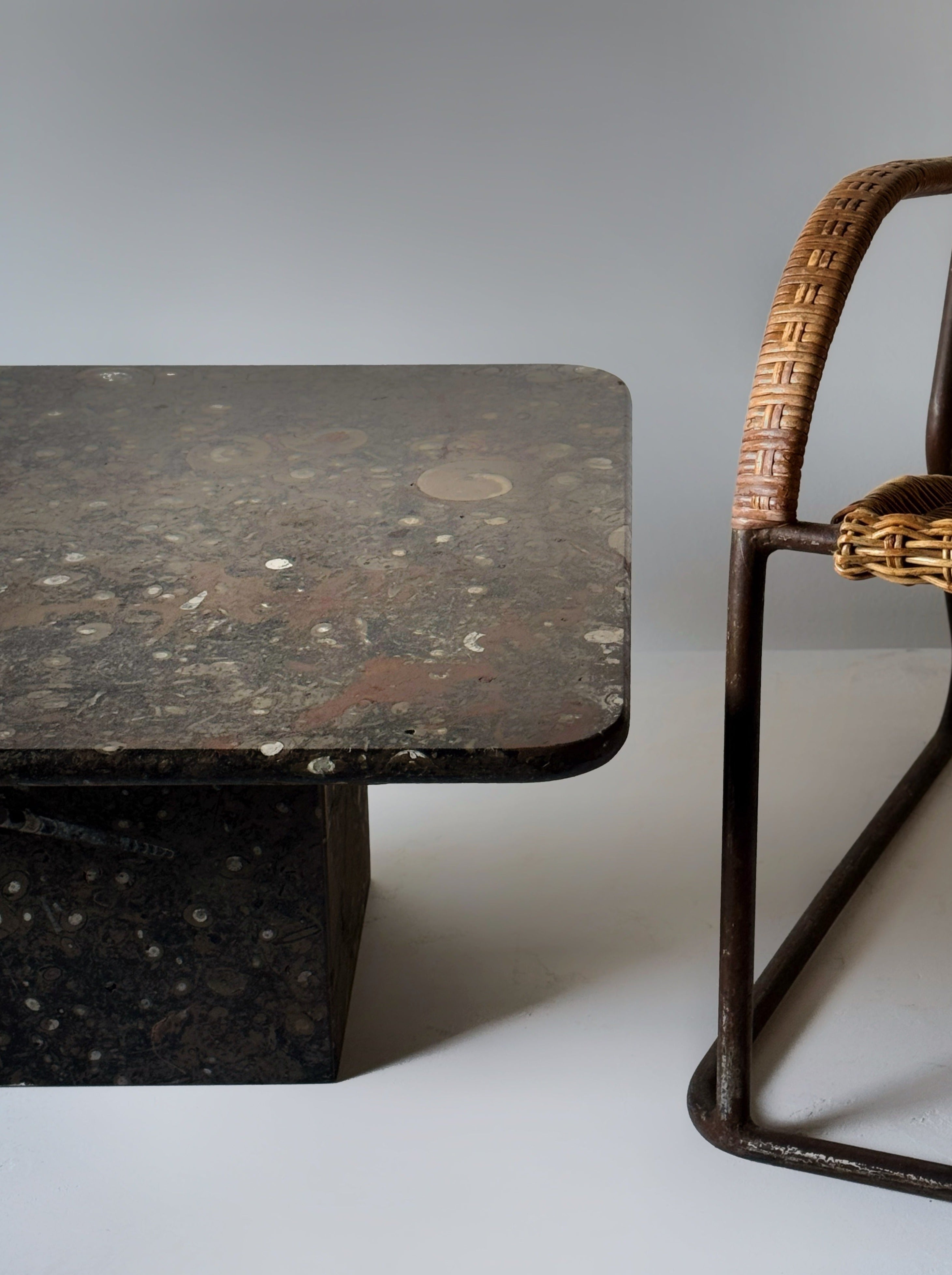 Fossil Stone Coffee Table