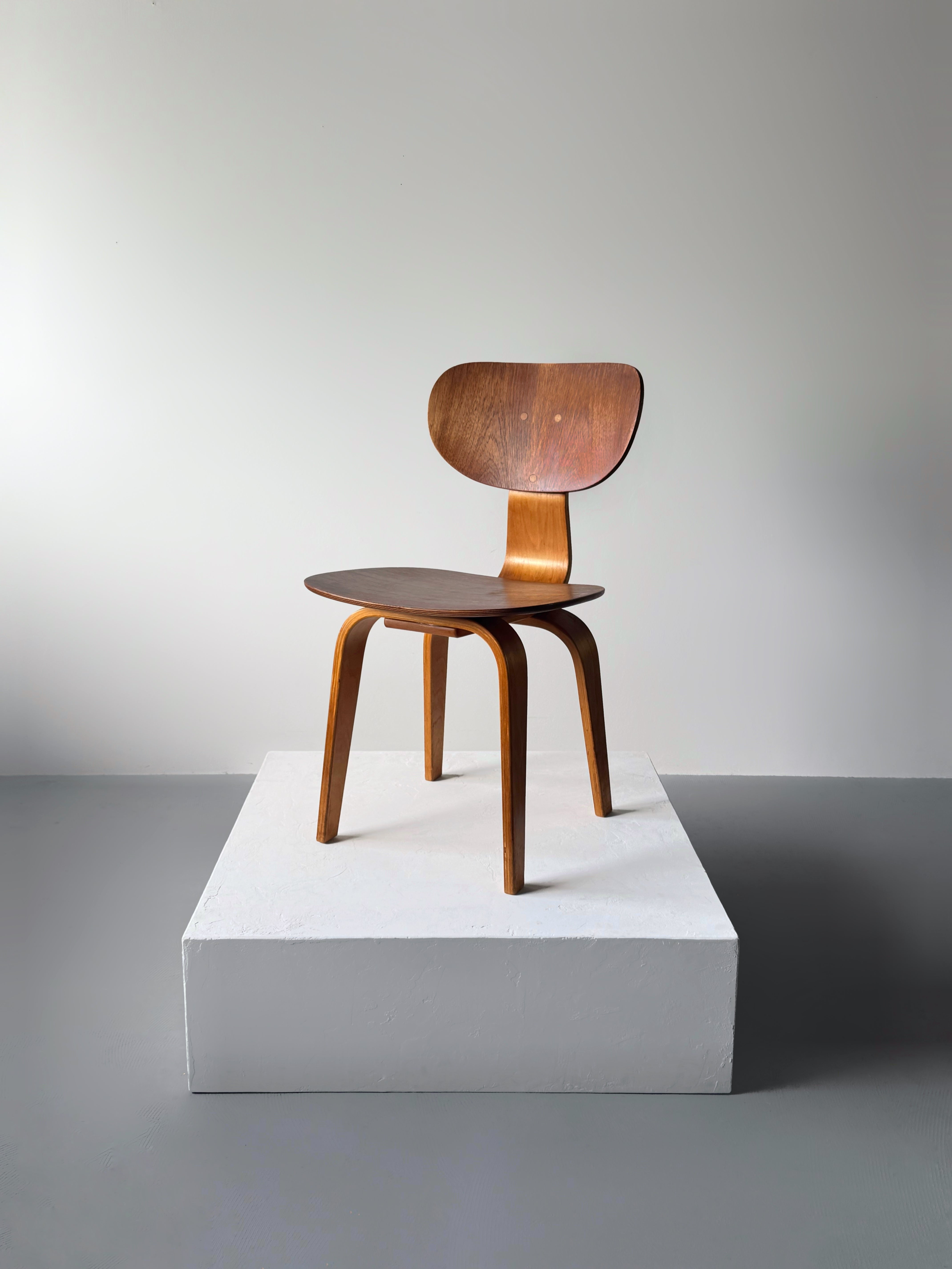 TB35/SB02 dining set by Cees Braakman for Pastoe