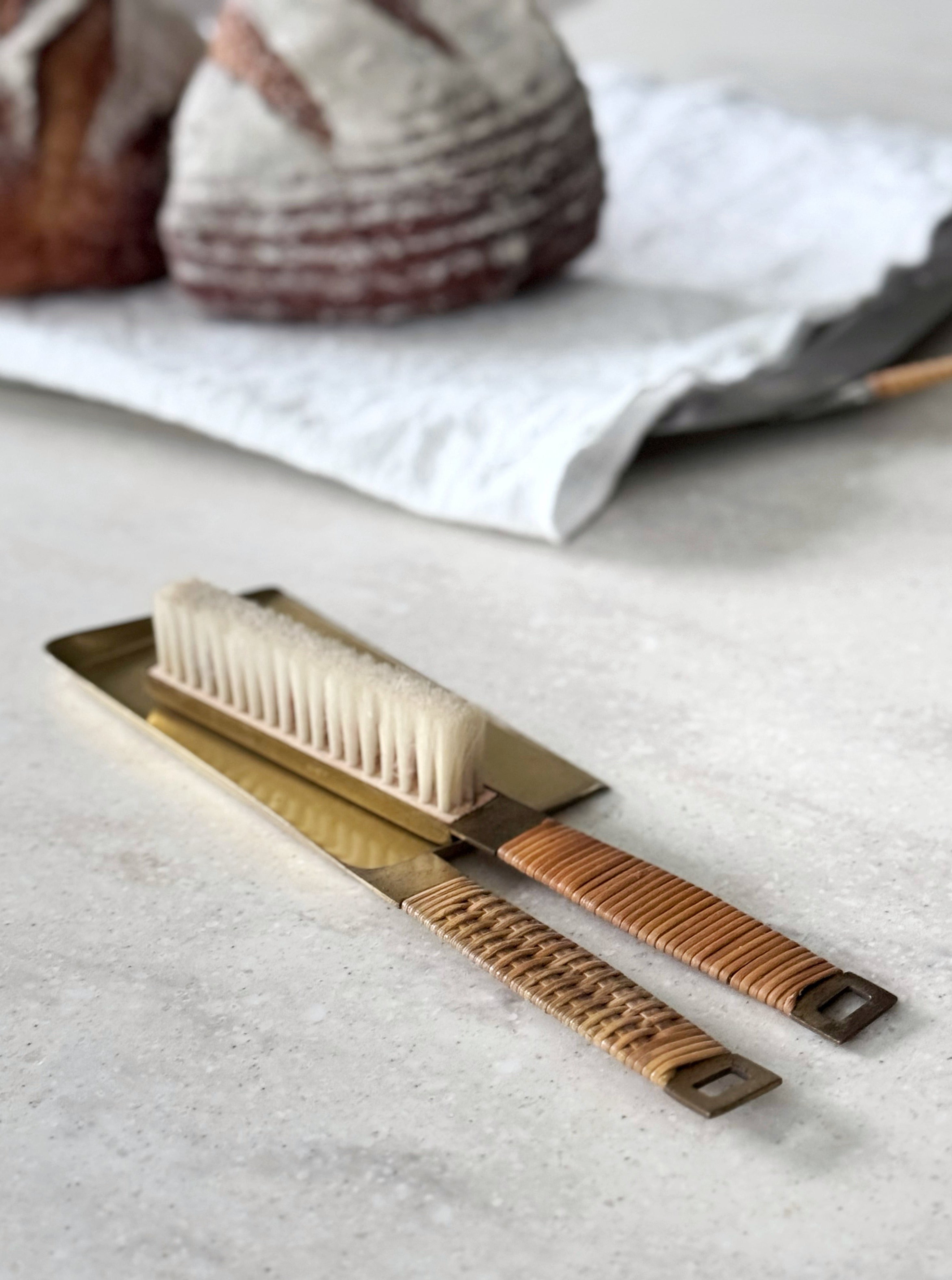 A. G. Bunge mid-Century Modern Dustpan and Brush