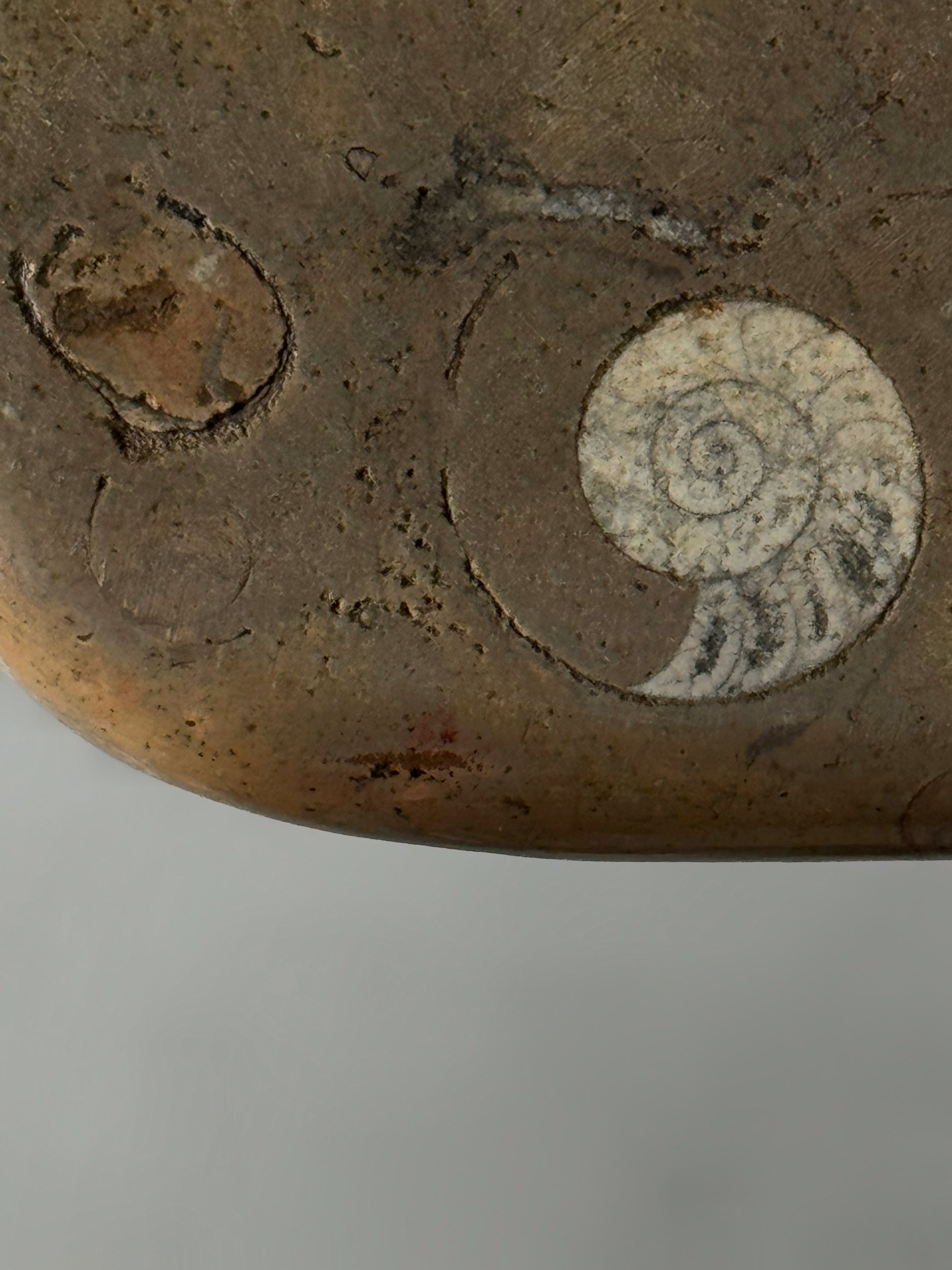 Fossil Stone Coffee Tables 1970s