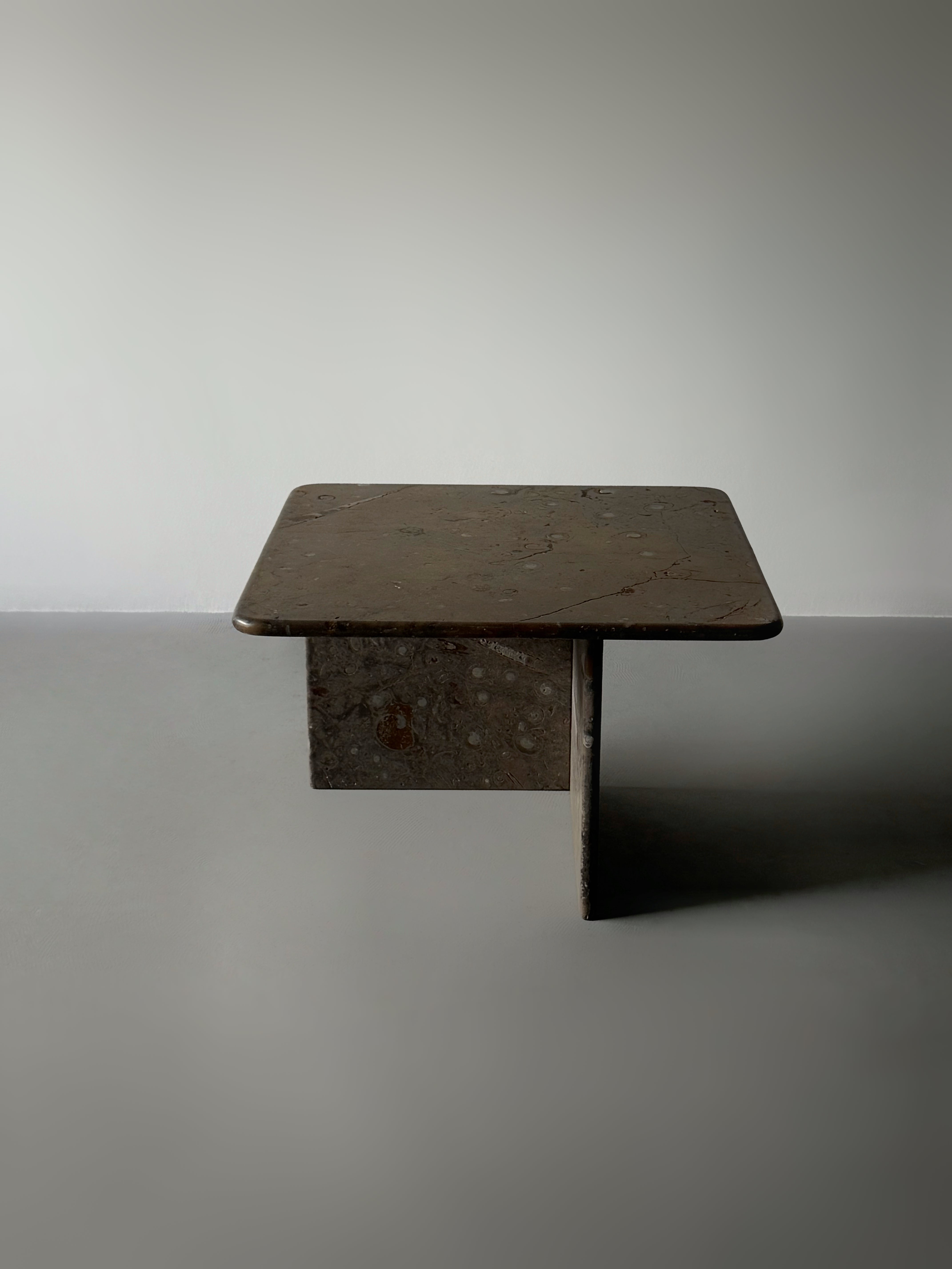 Fossil Stone Coffee Tables 1970s