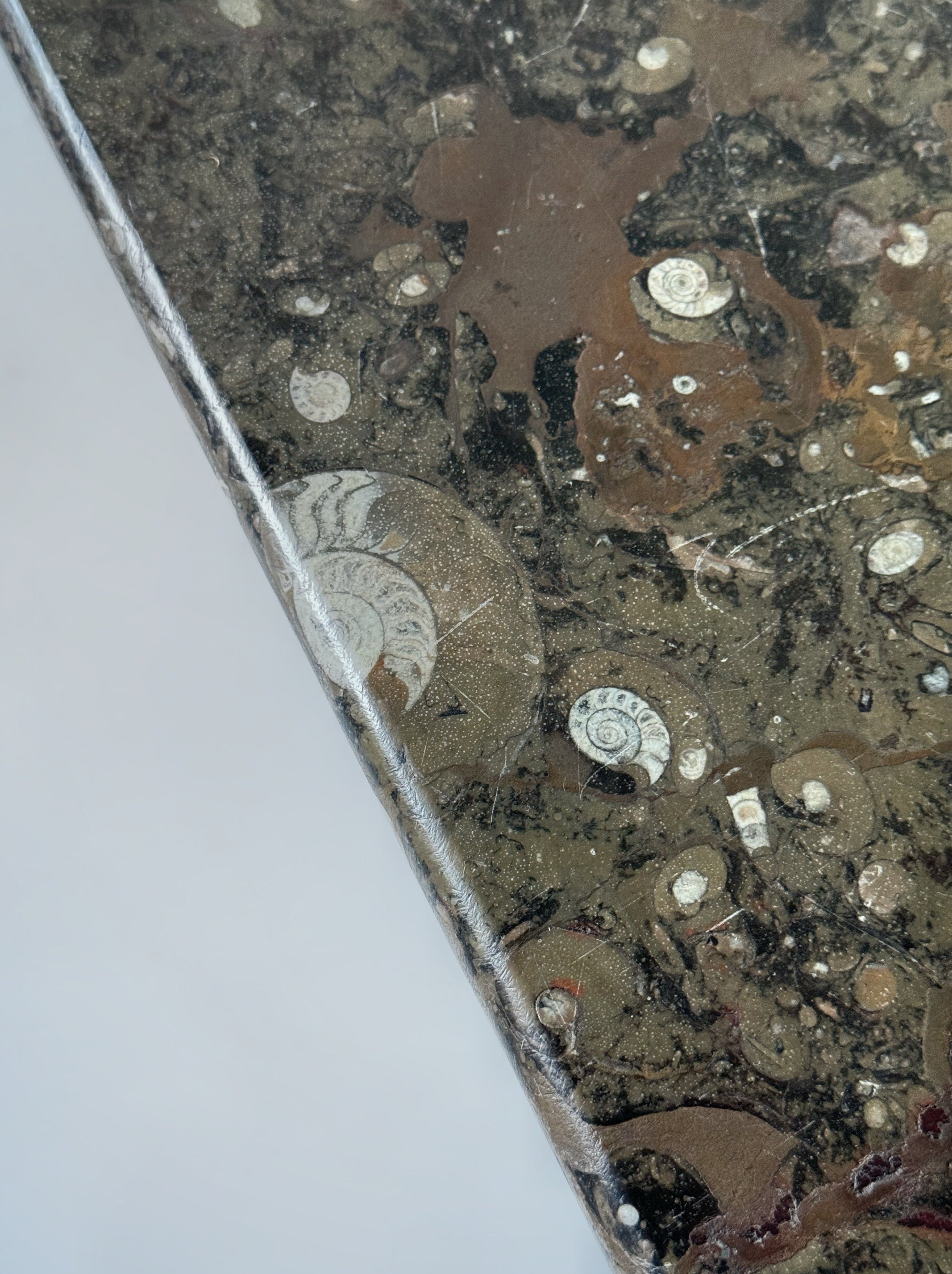 Fossil Stone Coffee Table