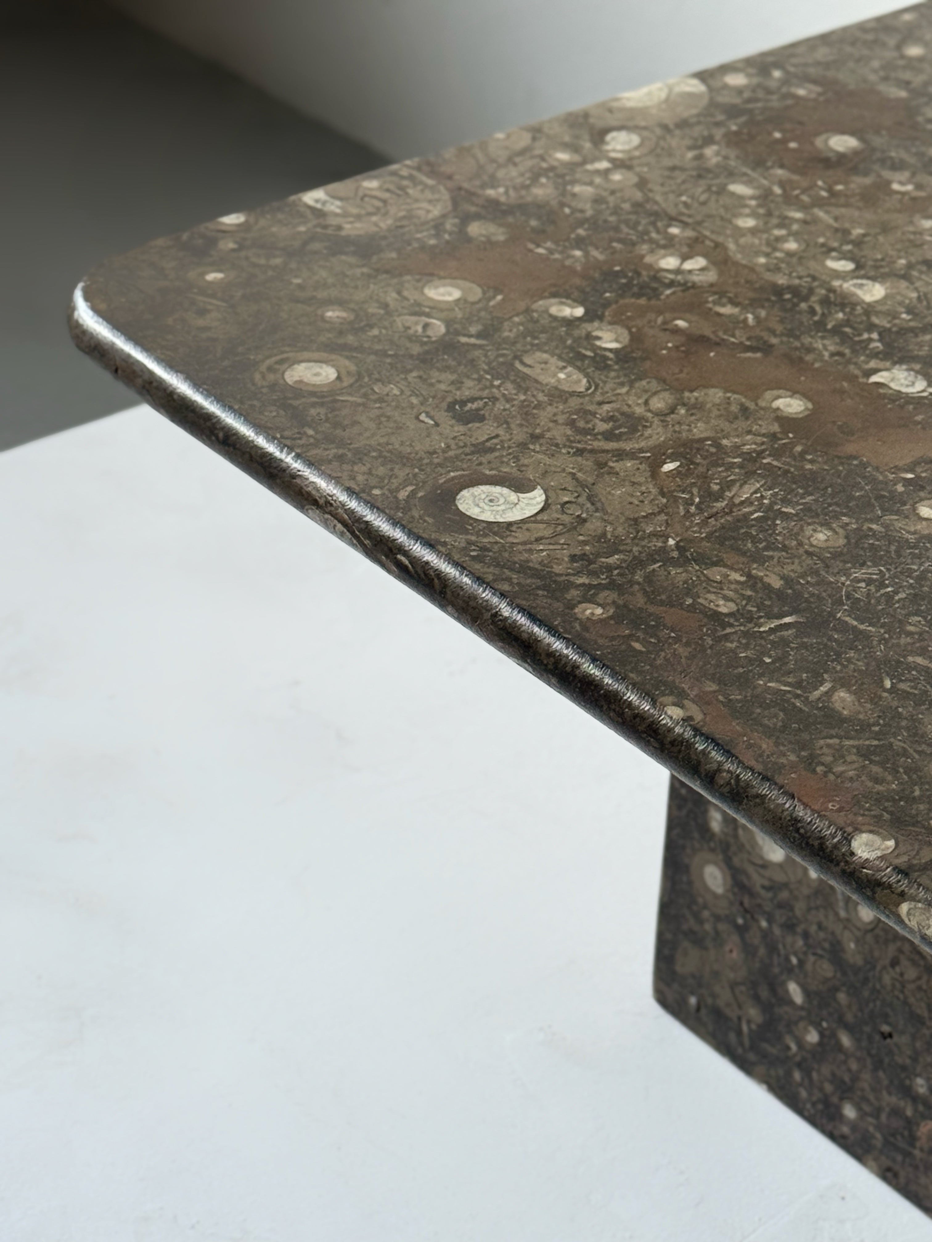 Fossil Stone Coffee Table