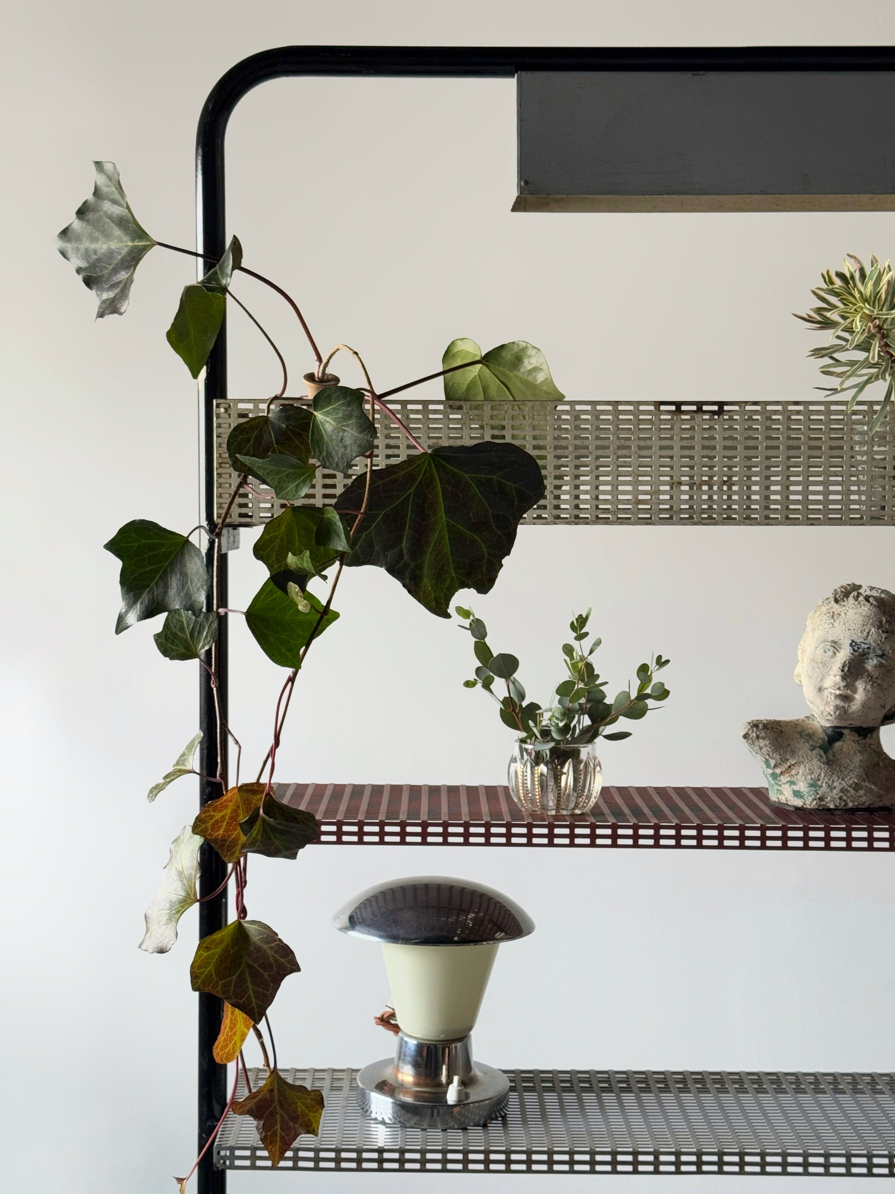 Freestanding Shelving Unit with Lamp 1960s