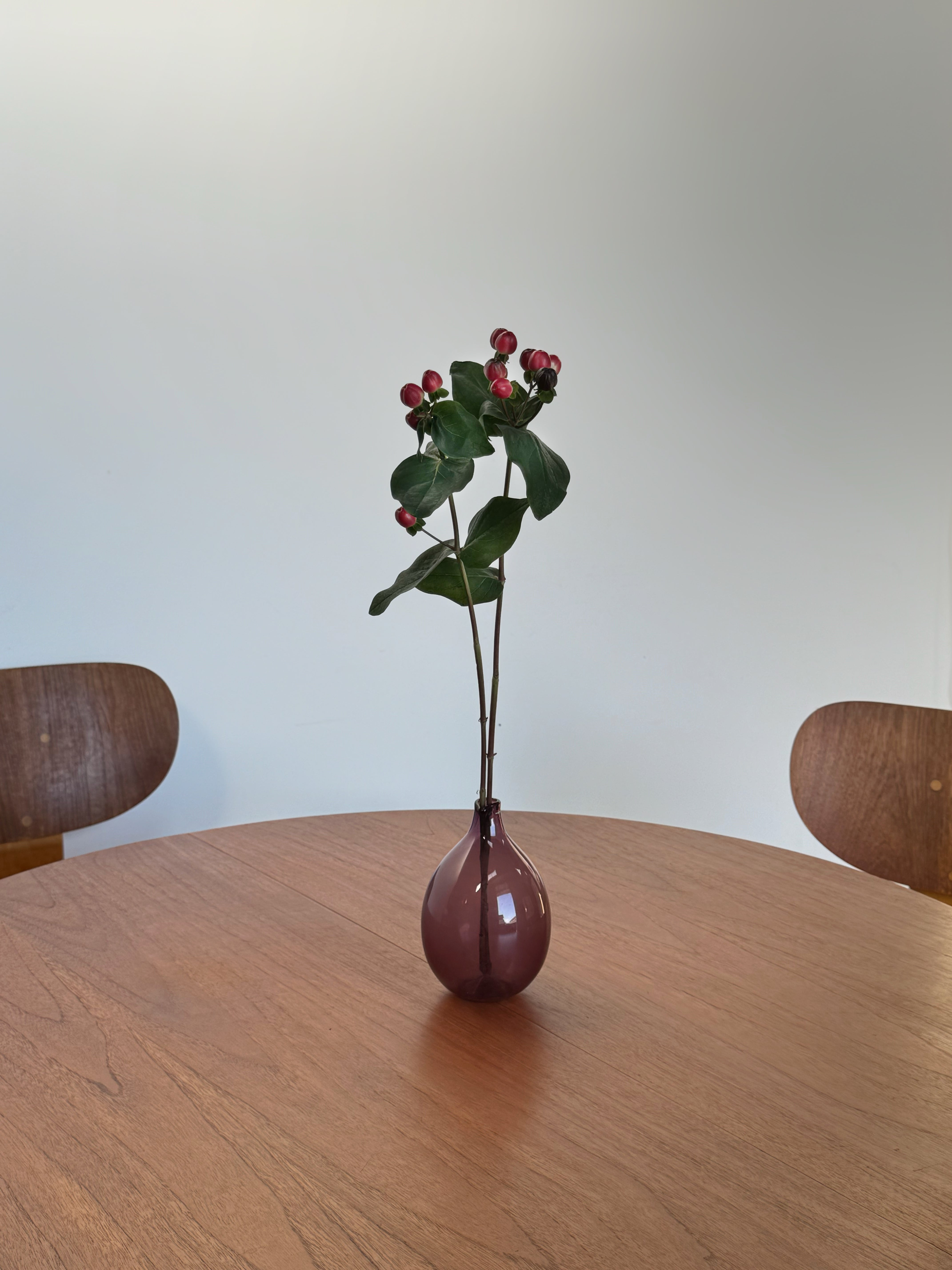 TB35/SB02 dining set by Cees Braakman for Pastoe