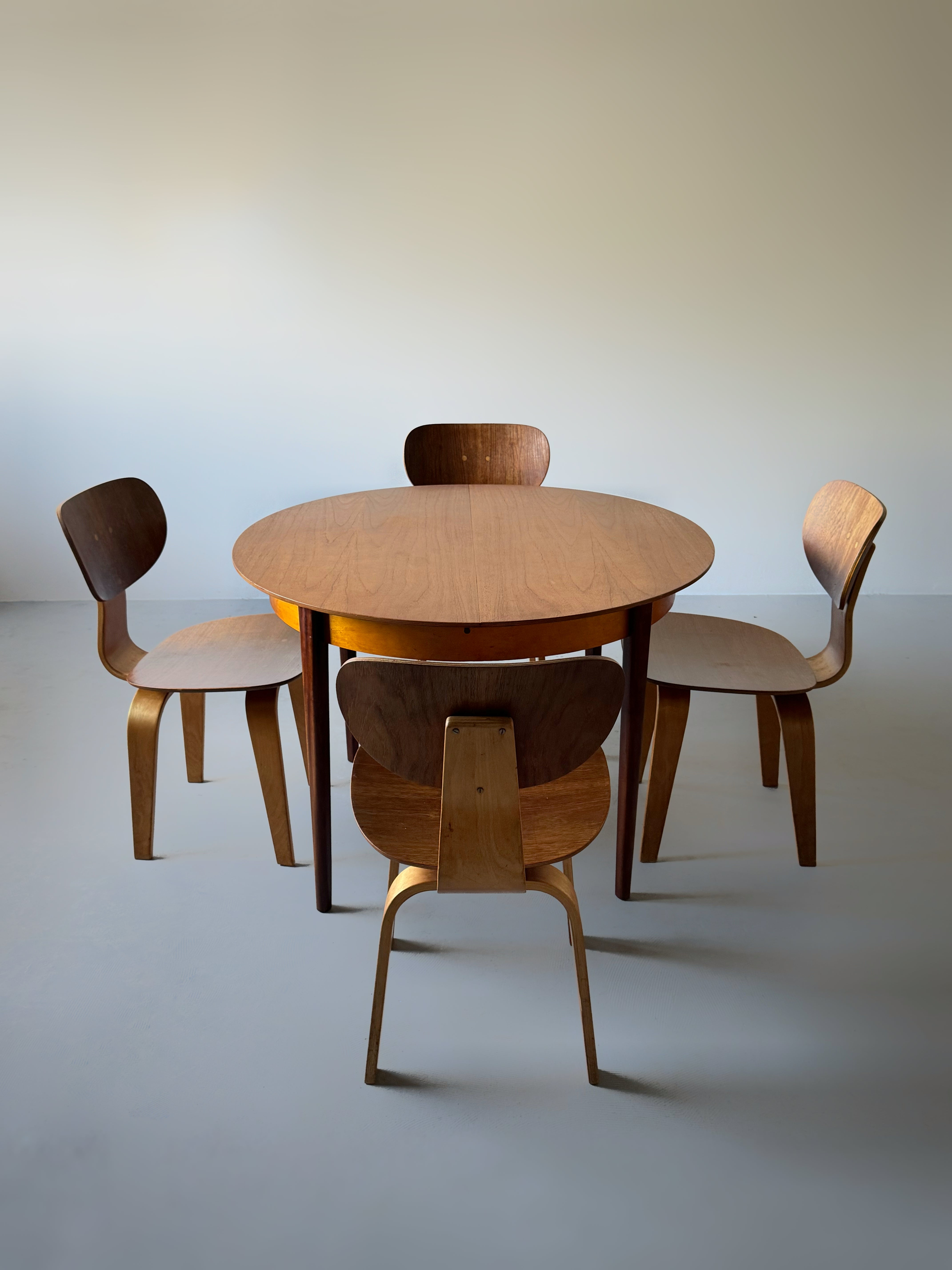 TB35/SB02 dining set by Cees Braakman for Pastoe