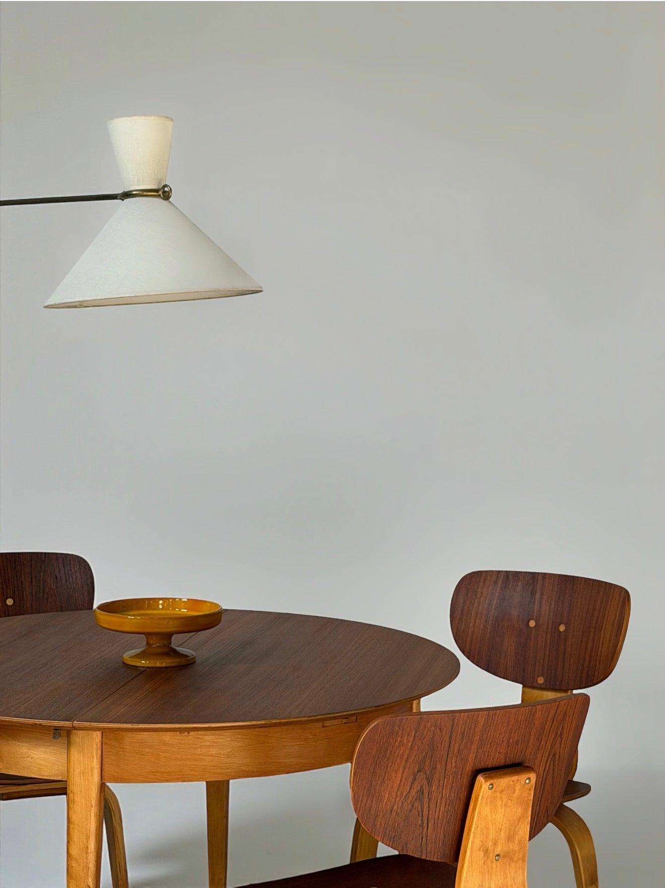 TB35/SB02 dining set by Cees Braakman for Pastoe, Dutch design, 1950s