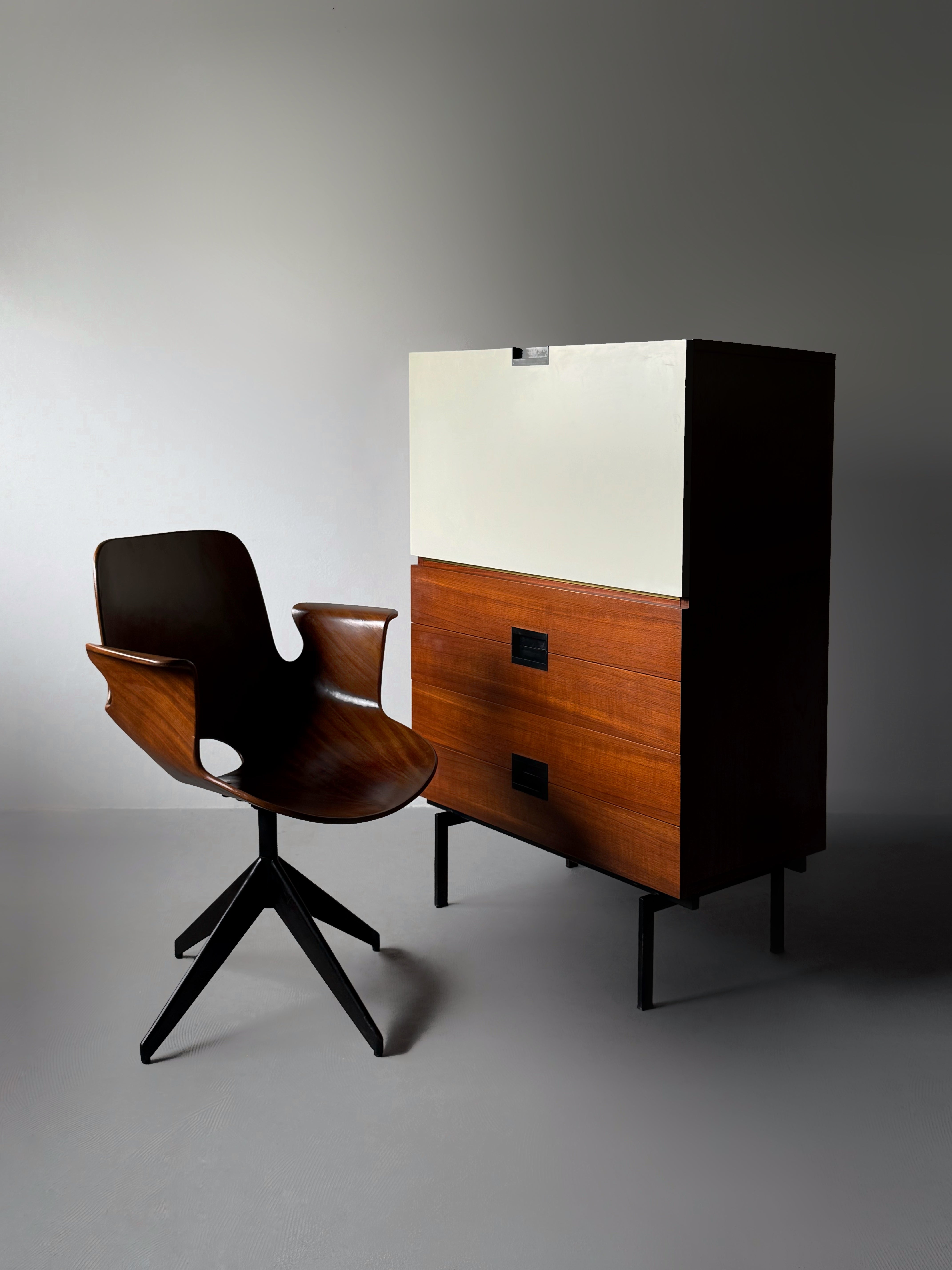 Cabinet by Cees Braakman for Pastoe, The Netherlands 1950s