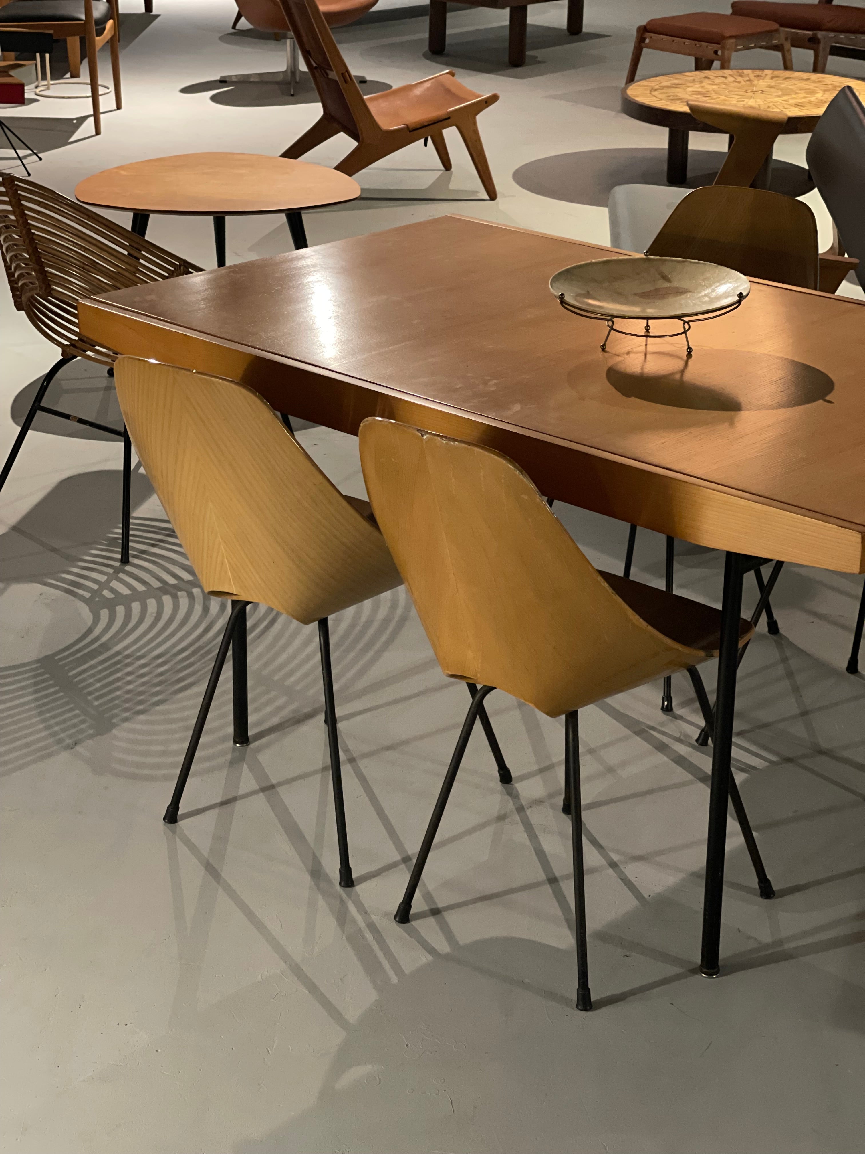 Set of 4 Medea chair by Vittorio Nobili