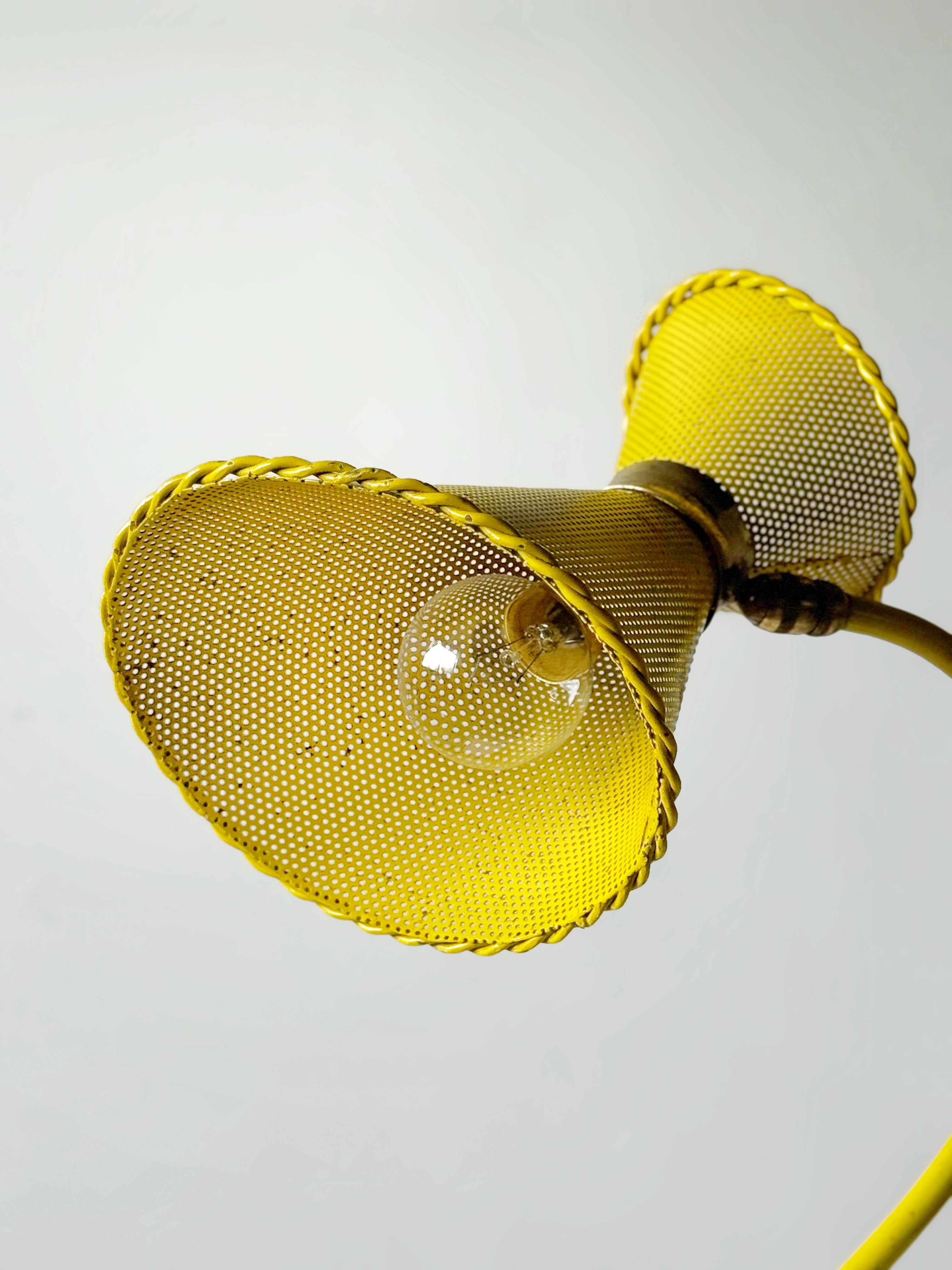 French Table Lamp by Mathieu Matégot, 1950s