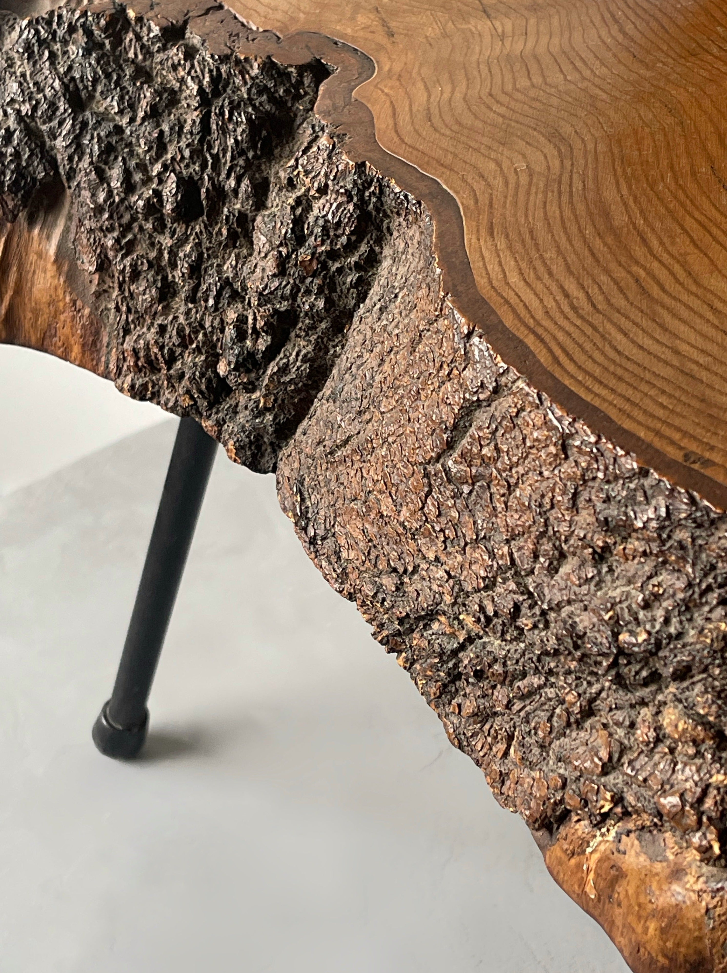 Tree Trunk Side Coffee Table, Austria, style Aubock 1950s