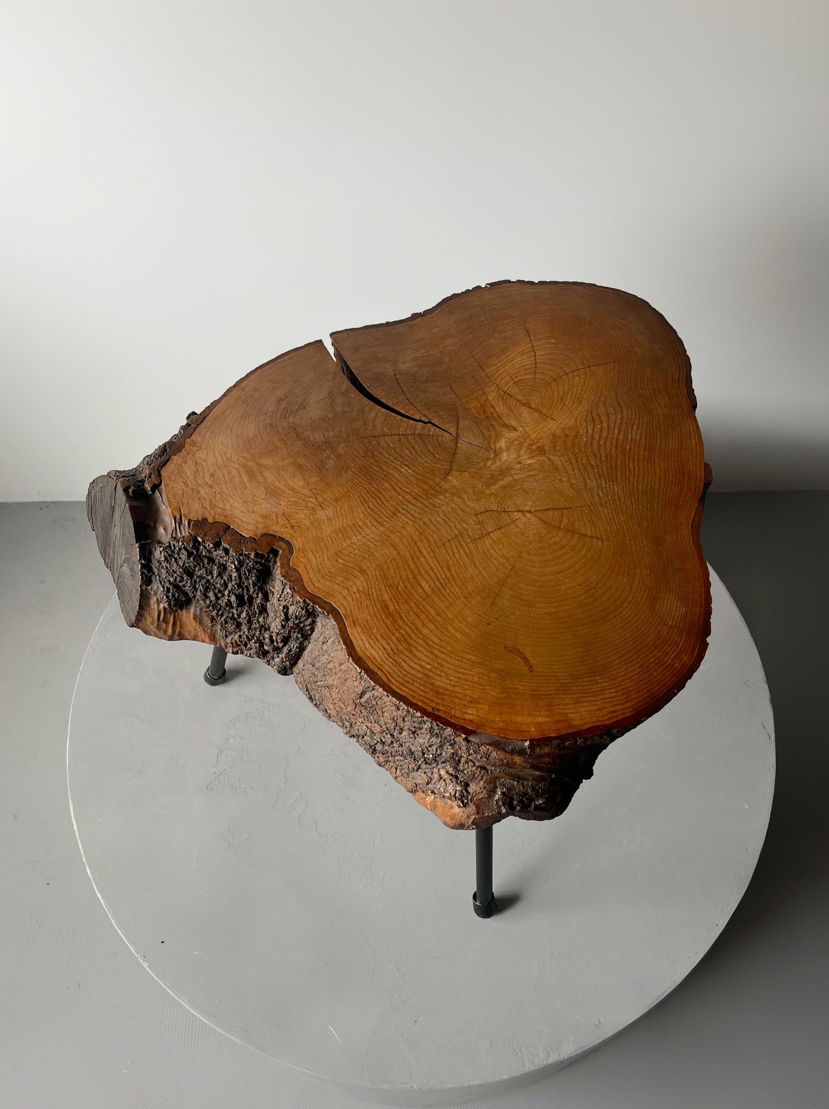 Tree Trunk Side Coffee Table, Austria, style Aubock 1950s