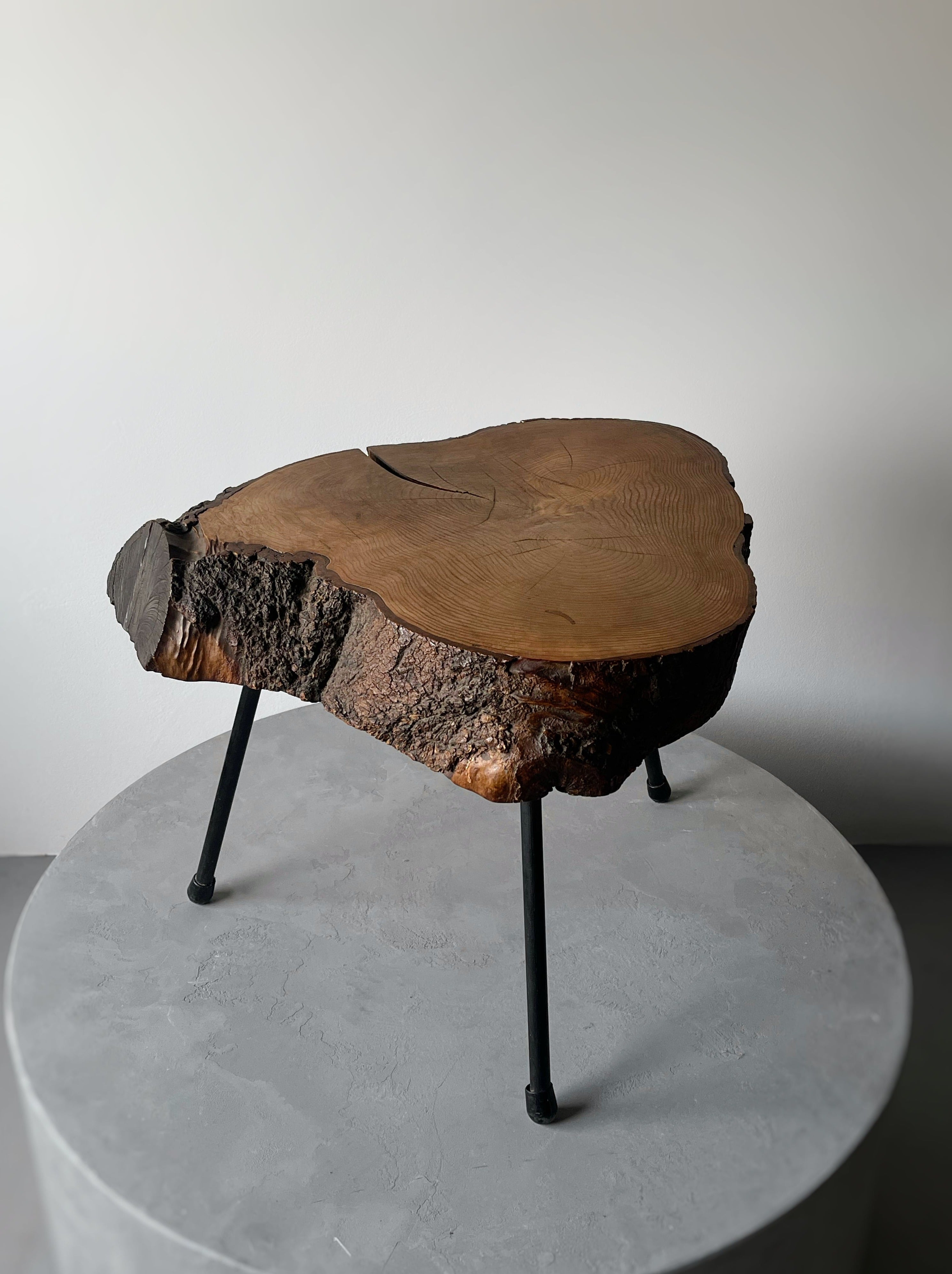 Tree Trunk Side Coffee Table, Austria, style Aubock 1950s