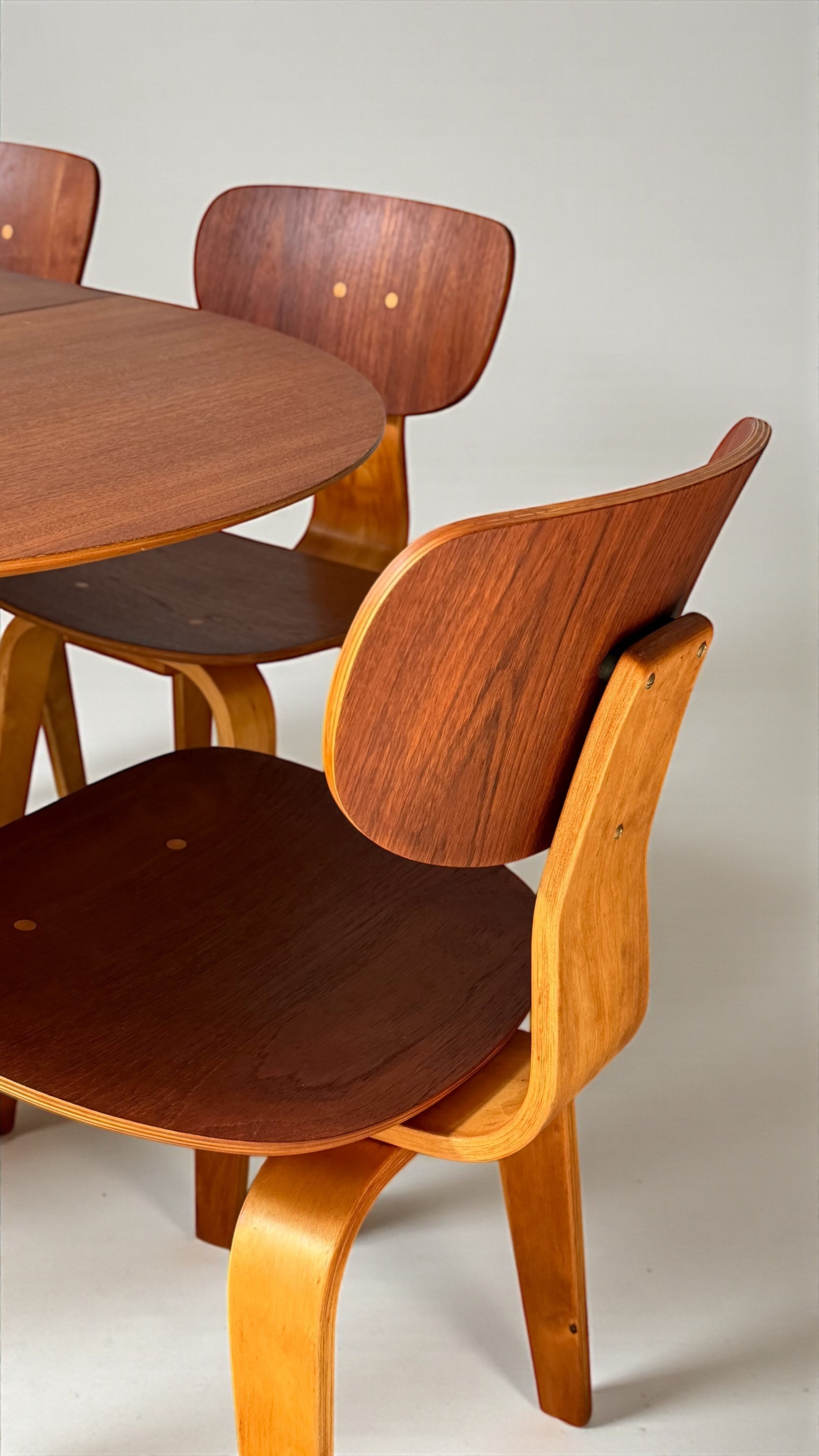 TB35/SB02 dining set by Cees Braakman for Pastoe, Dutch design, 1950s