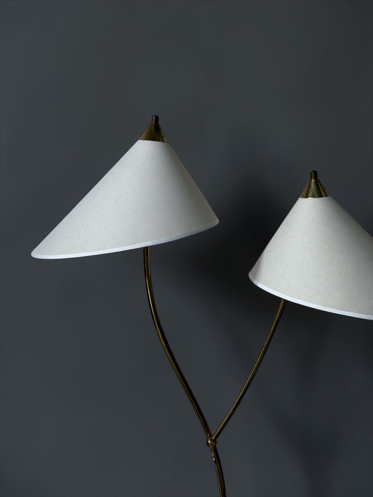 Double Arm Brass Floor Lamp, Europe, 1950s
