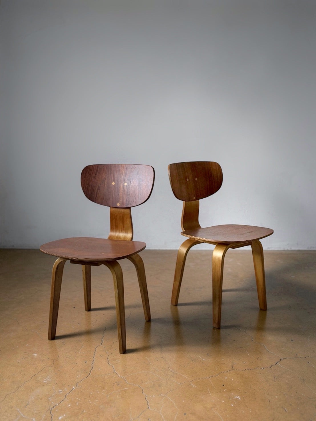 SB02 Dining Chairs by Cees Braakman for Pastoe, Netherlands 1950s