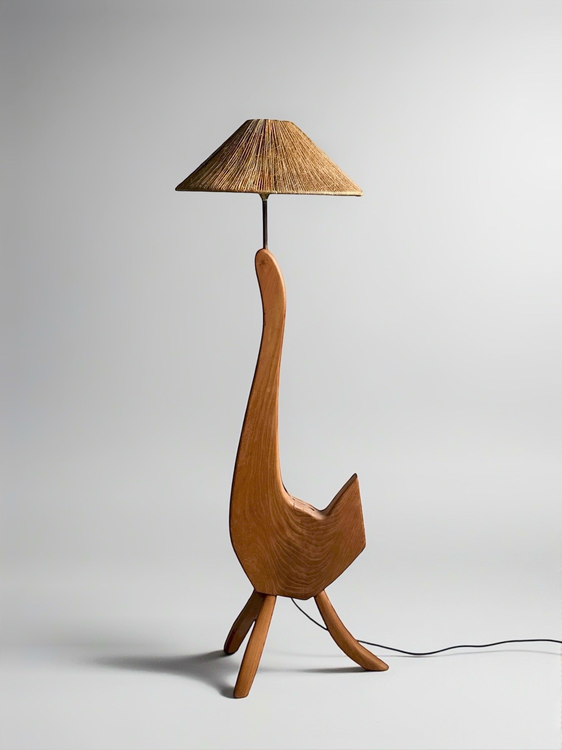 Organic Sculptural Floor Lamp, Europe 1950-1960s