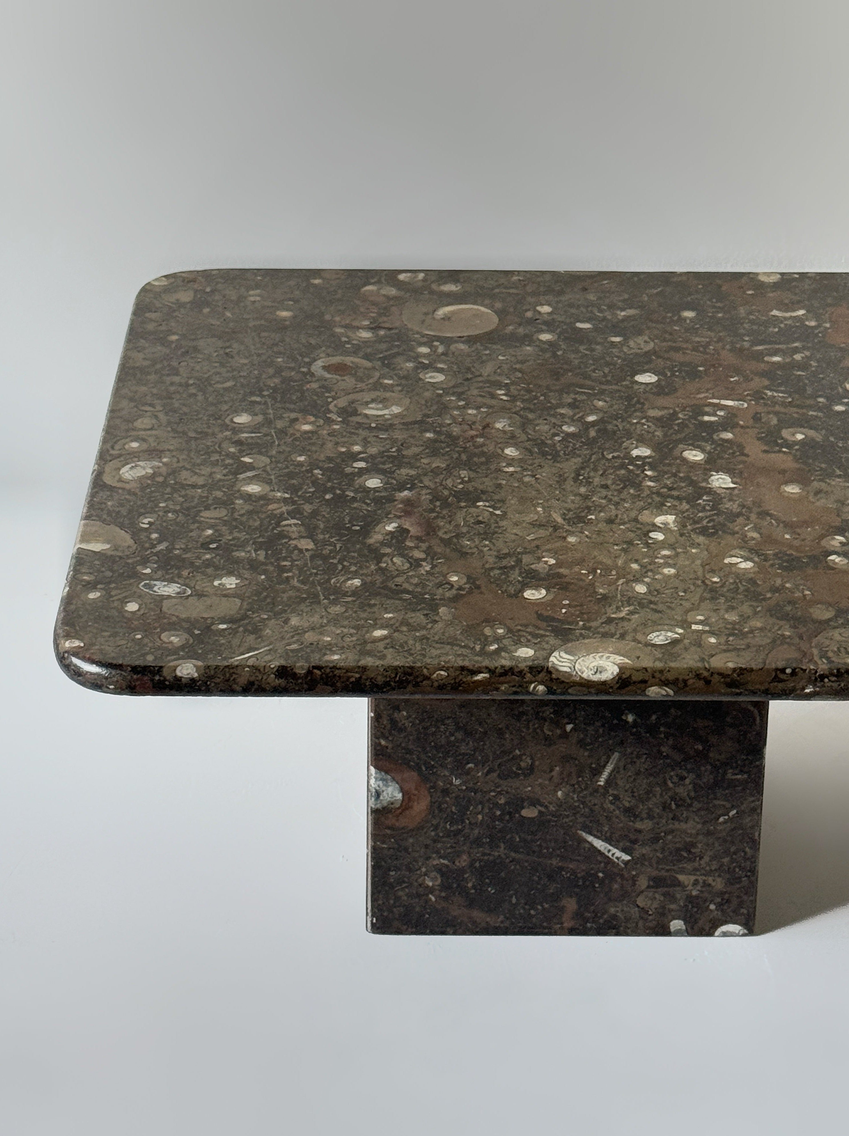 Fossil Stone Coffee Table