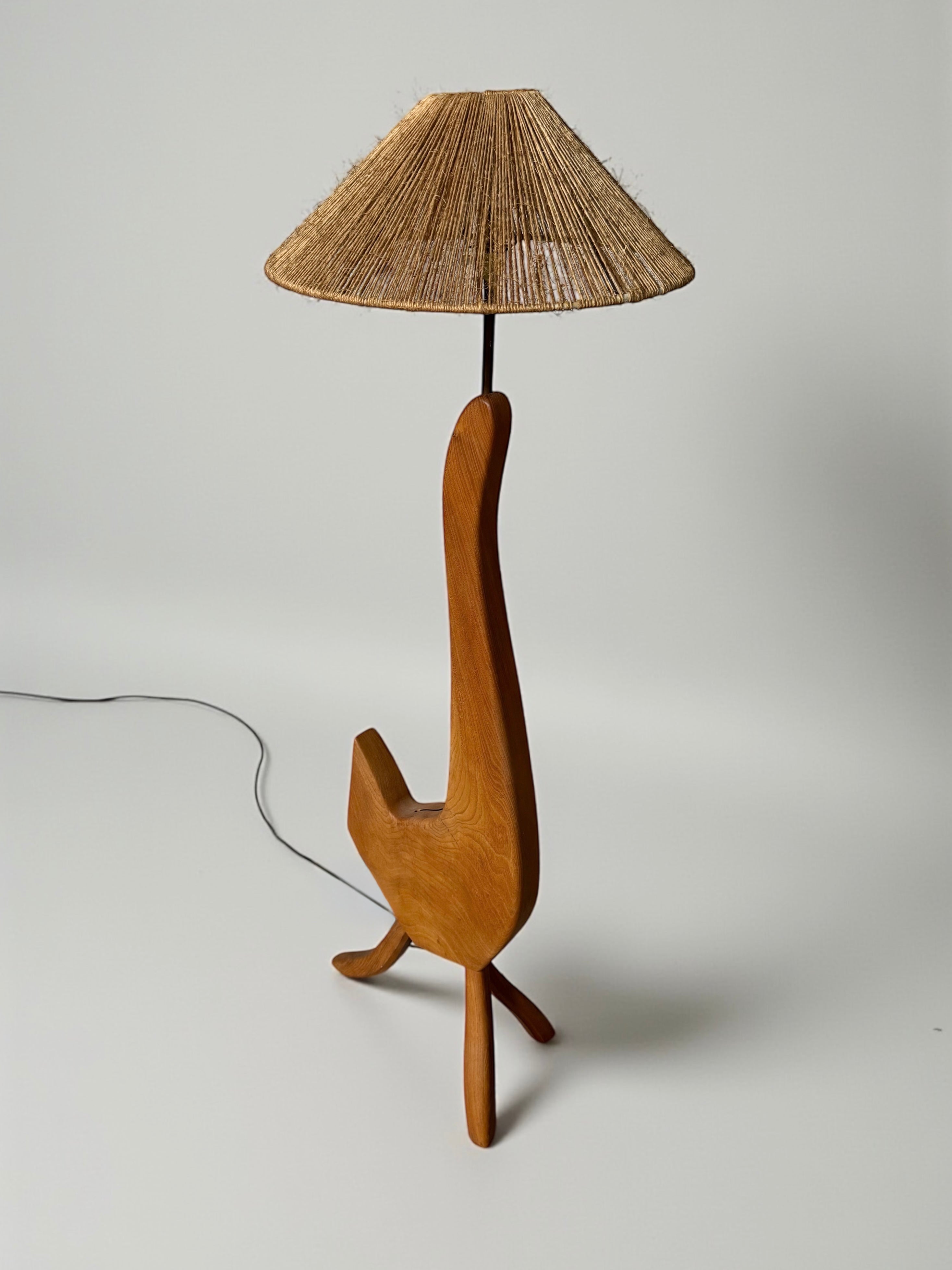 Organic Sculptural Floor Lamp, Europe 1950-1960s