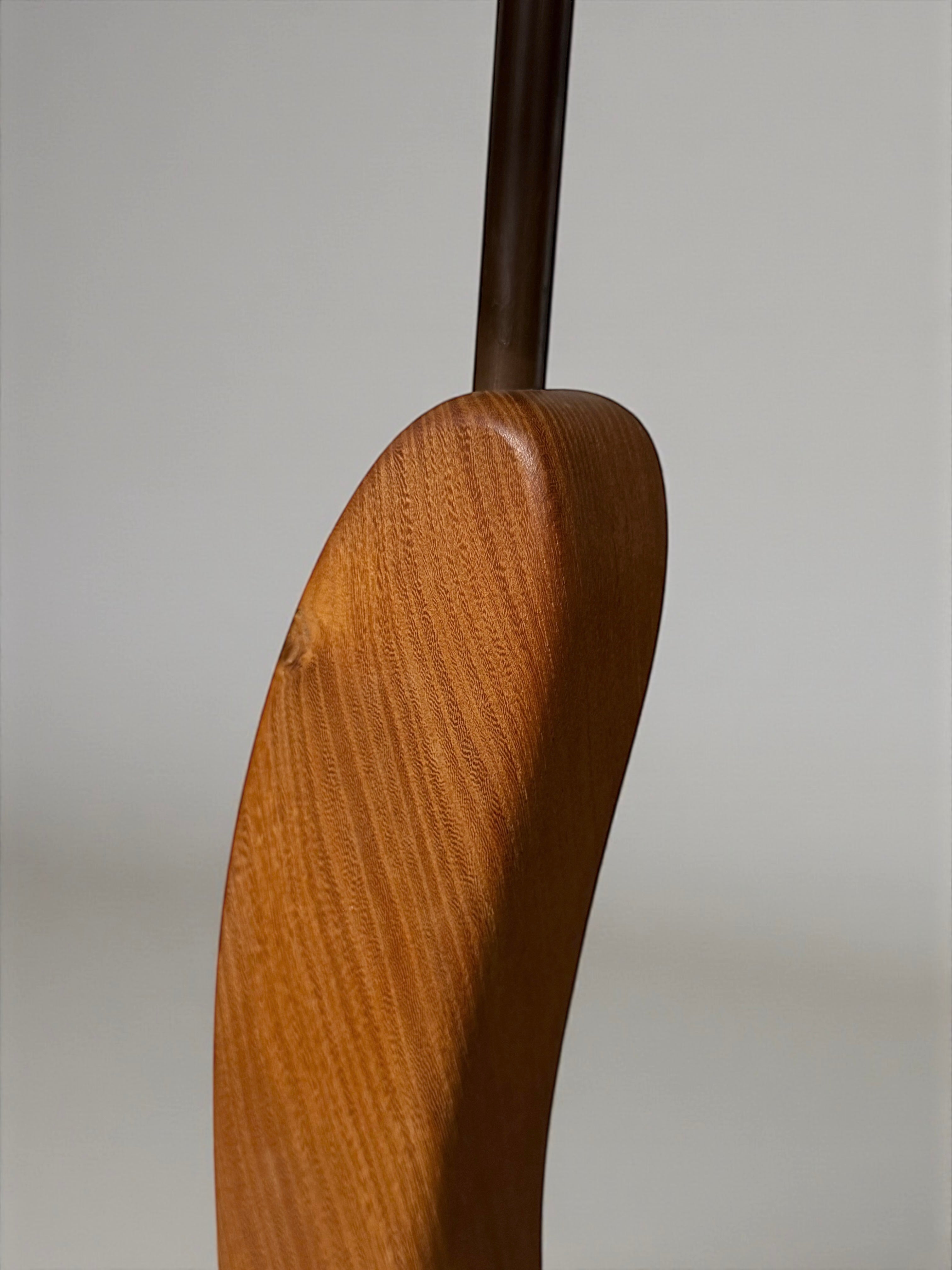 Organic Sculptural Floor Lamp, Europe 1950-1960s