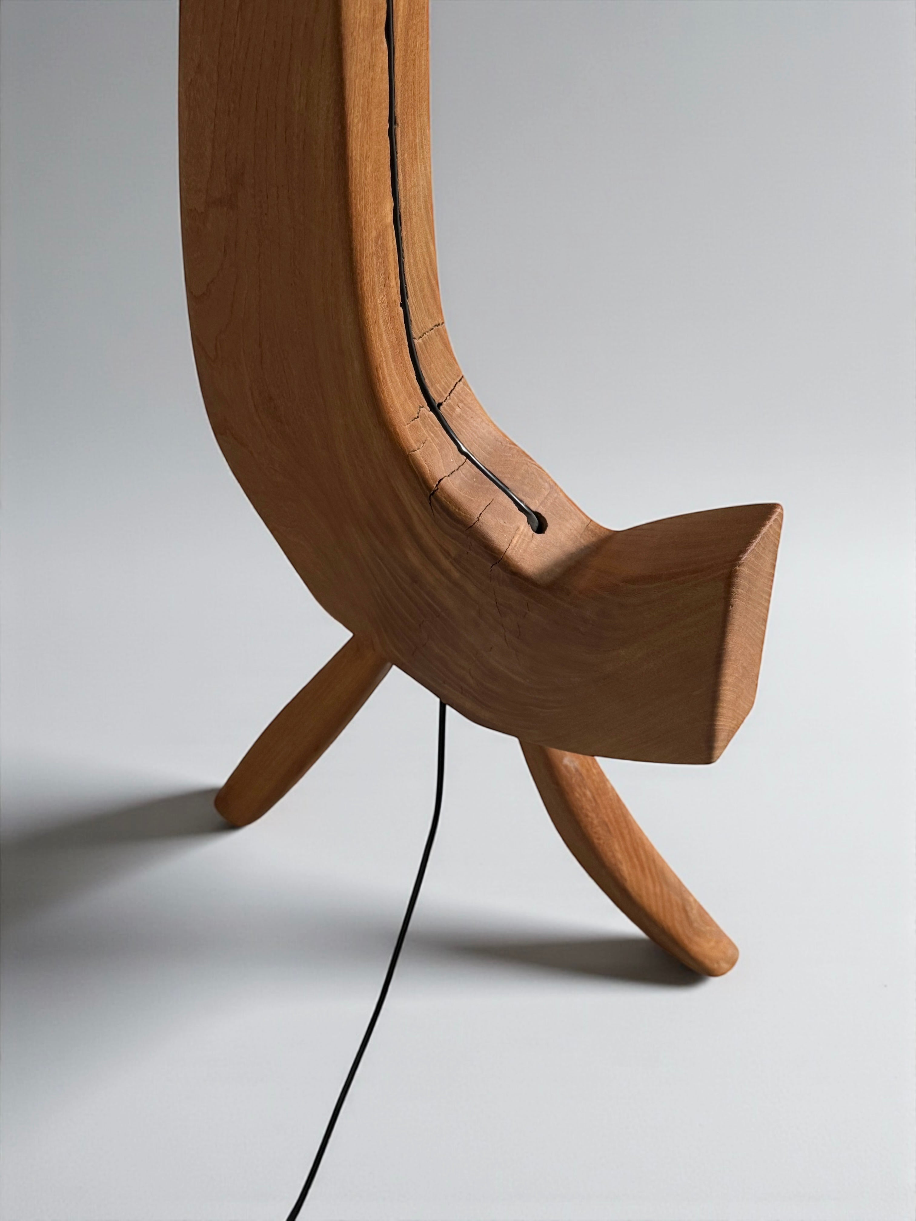 Organic Sculptural Floor Lamp, Europe 1950-1960s