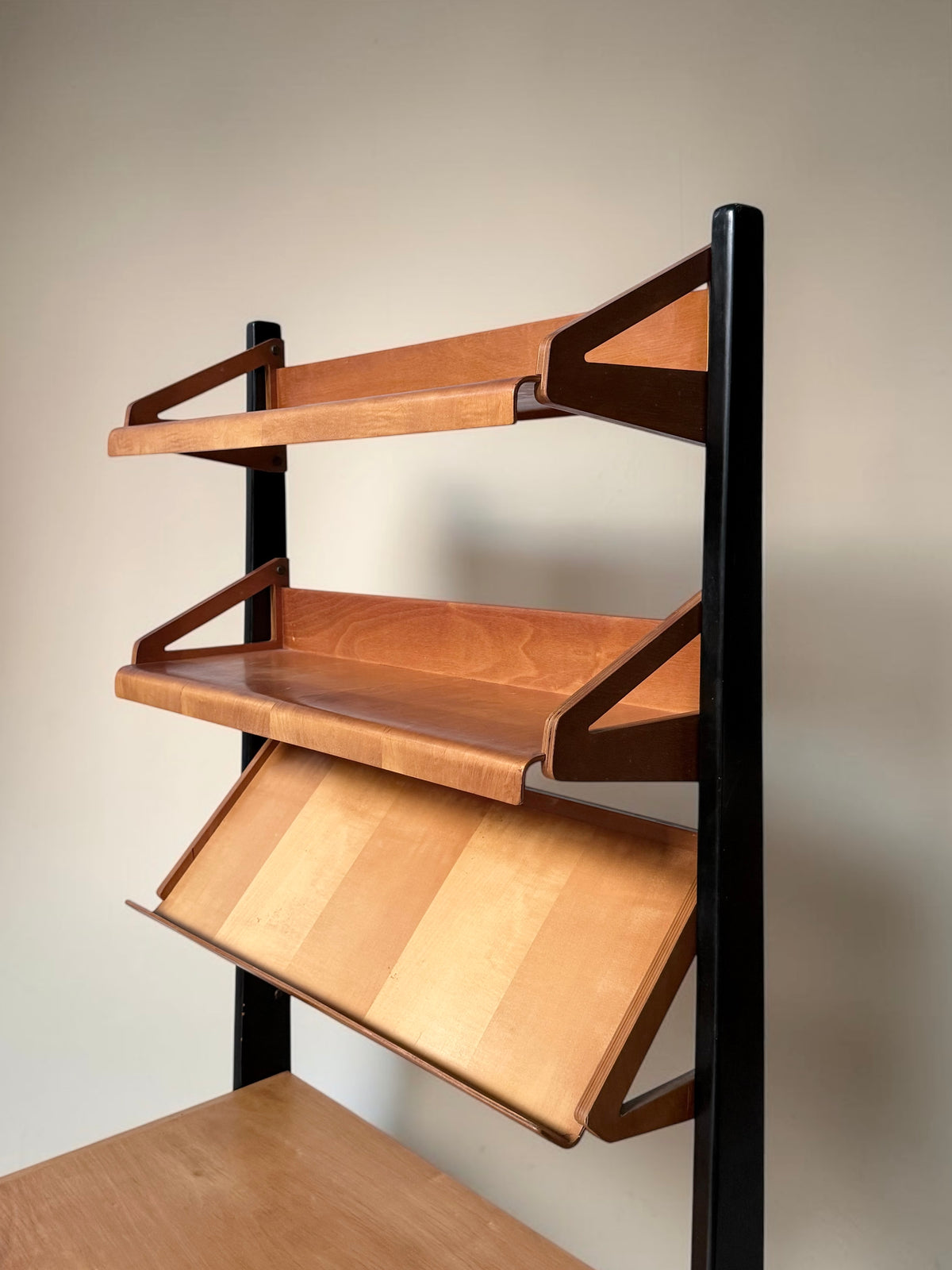 Combex Series BB06 by Cees Braakman for Pastoe, Netherlands 1950s