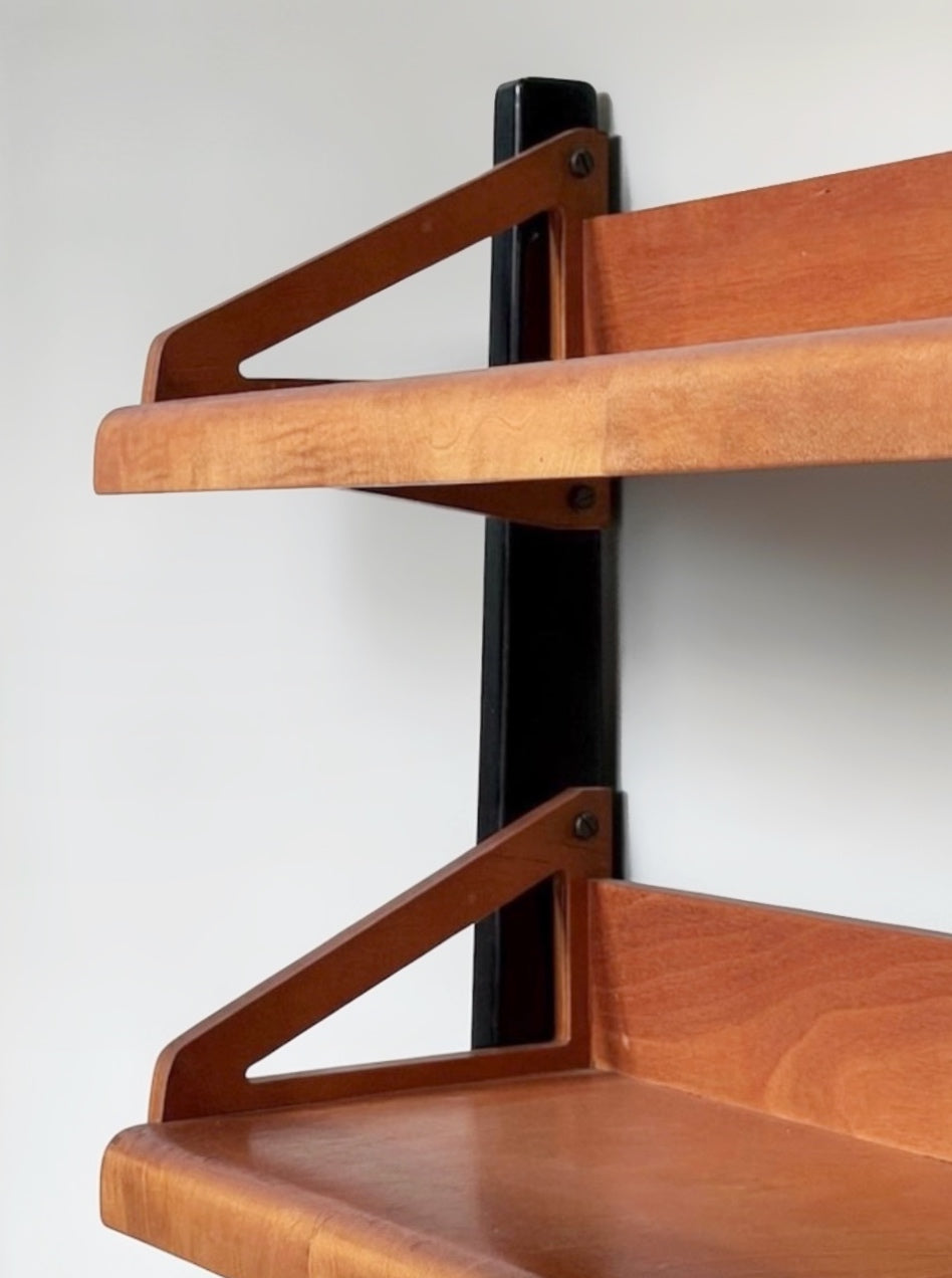 Combex Series BB06 by Cees Braakman for Pastoe, Netherlands 1950s