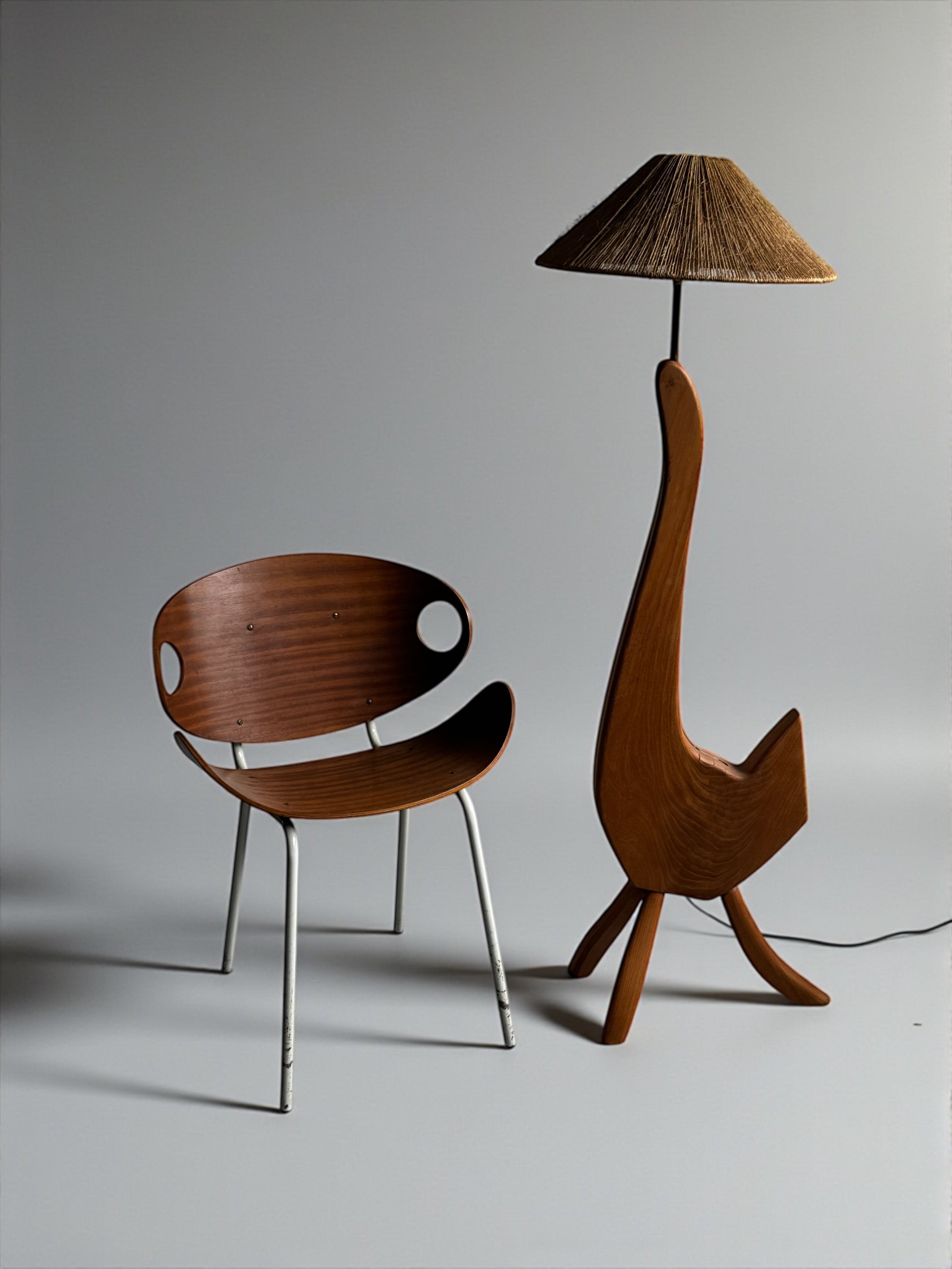 Organic Sculptural Floor Lamp, Europe 1950-1960s