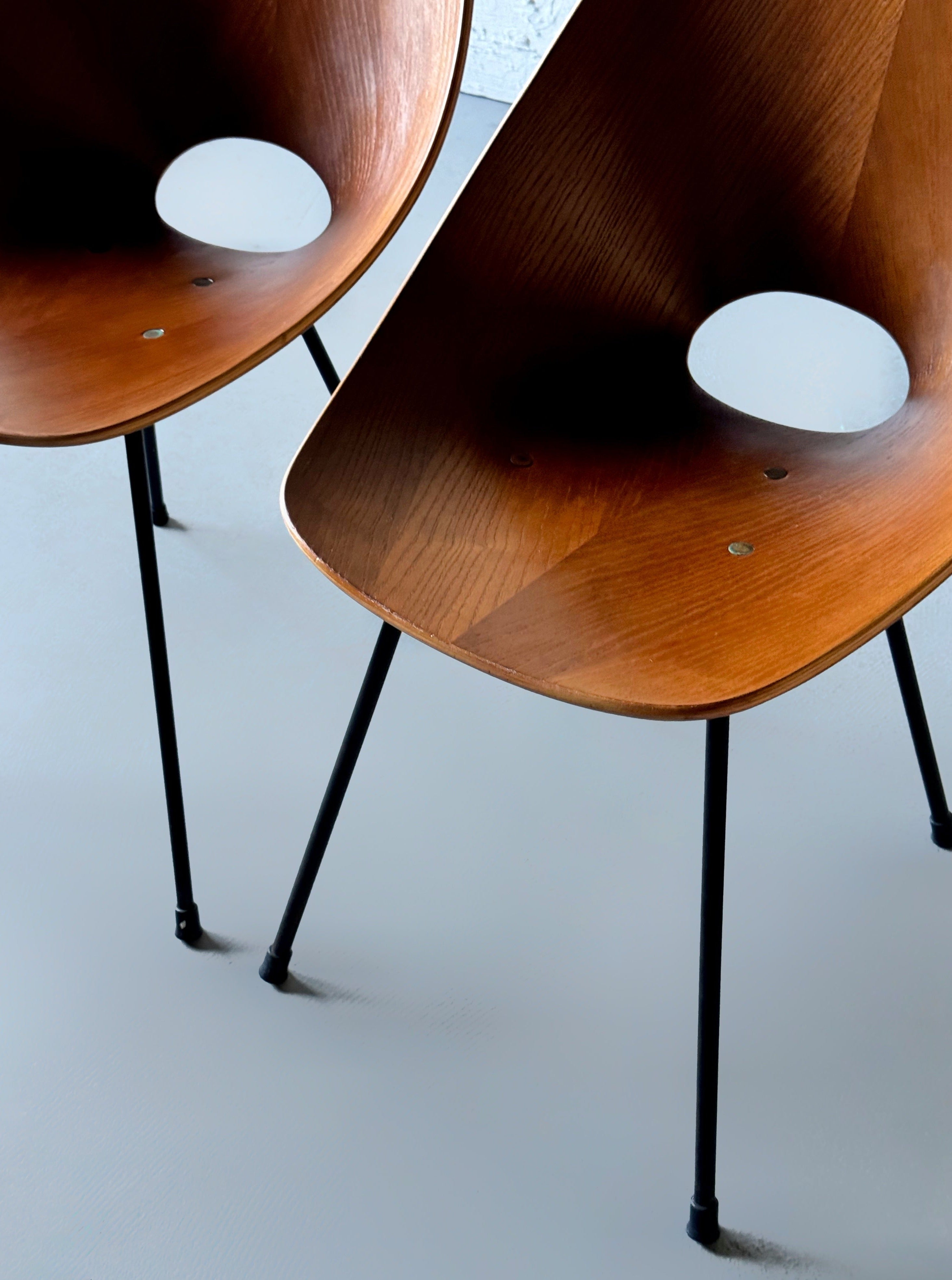 Medea Plywood Side Chairs by Vittorio Nobili, Italy