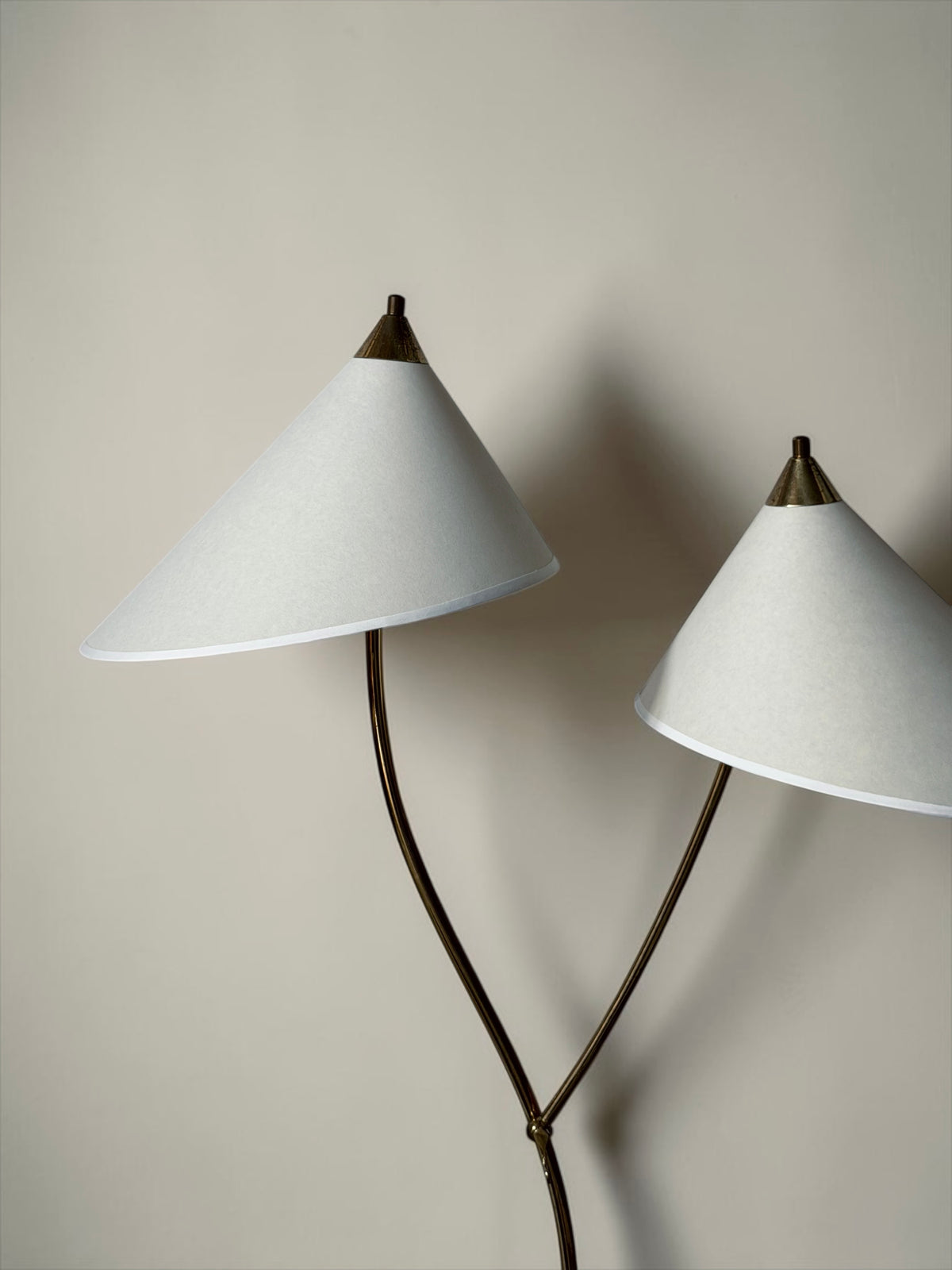 Double Arm Brass Floor Lamp, Europe, 1950s
