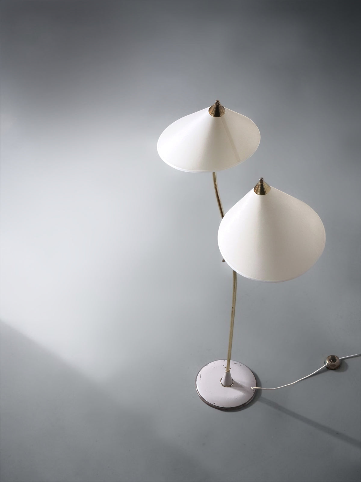 Double Arm Brass Floor Lamp, Europe, 1950s